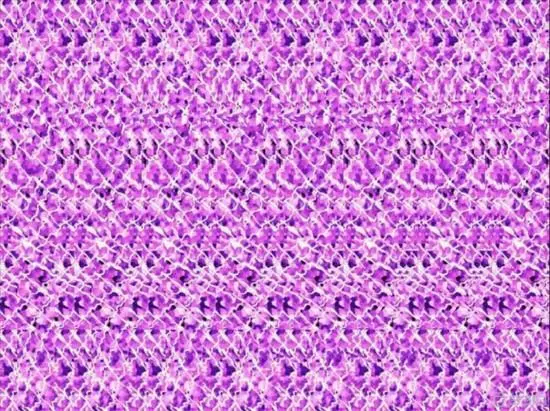 她们说这是三维立体图,还说有一张异常恐怖的照片,我咋啥也看不出来