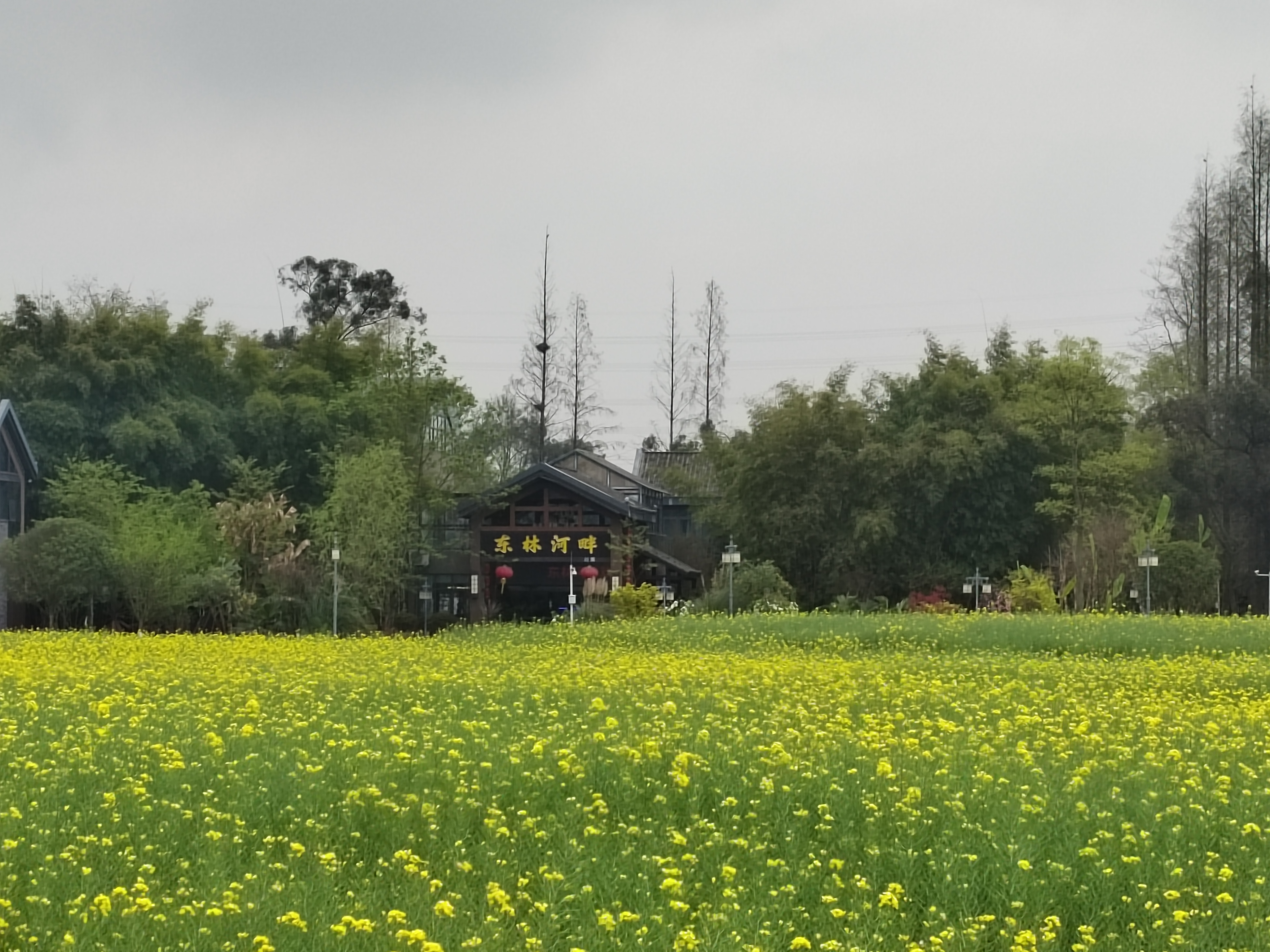 郫都区东林艺术村(二)