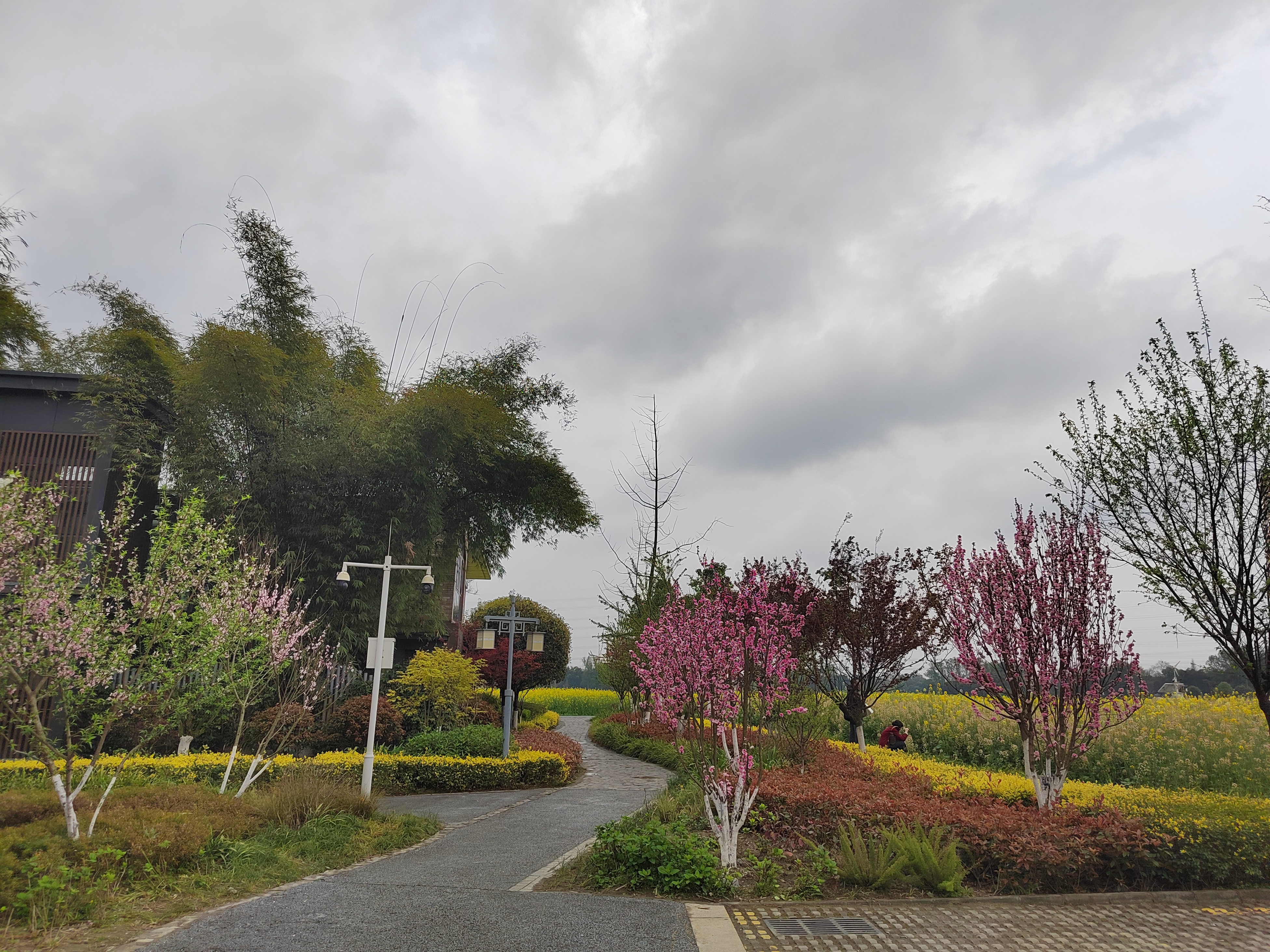 郫都区东林艺术村(一)