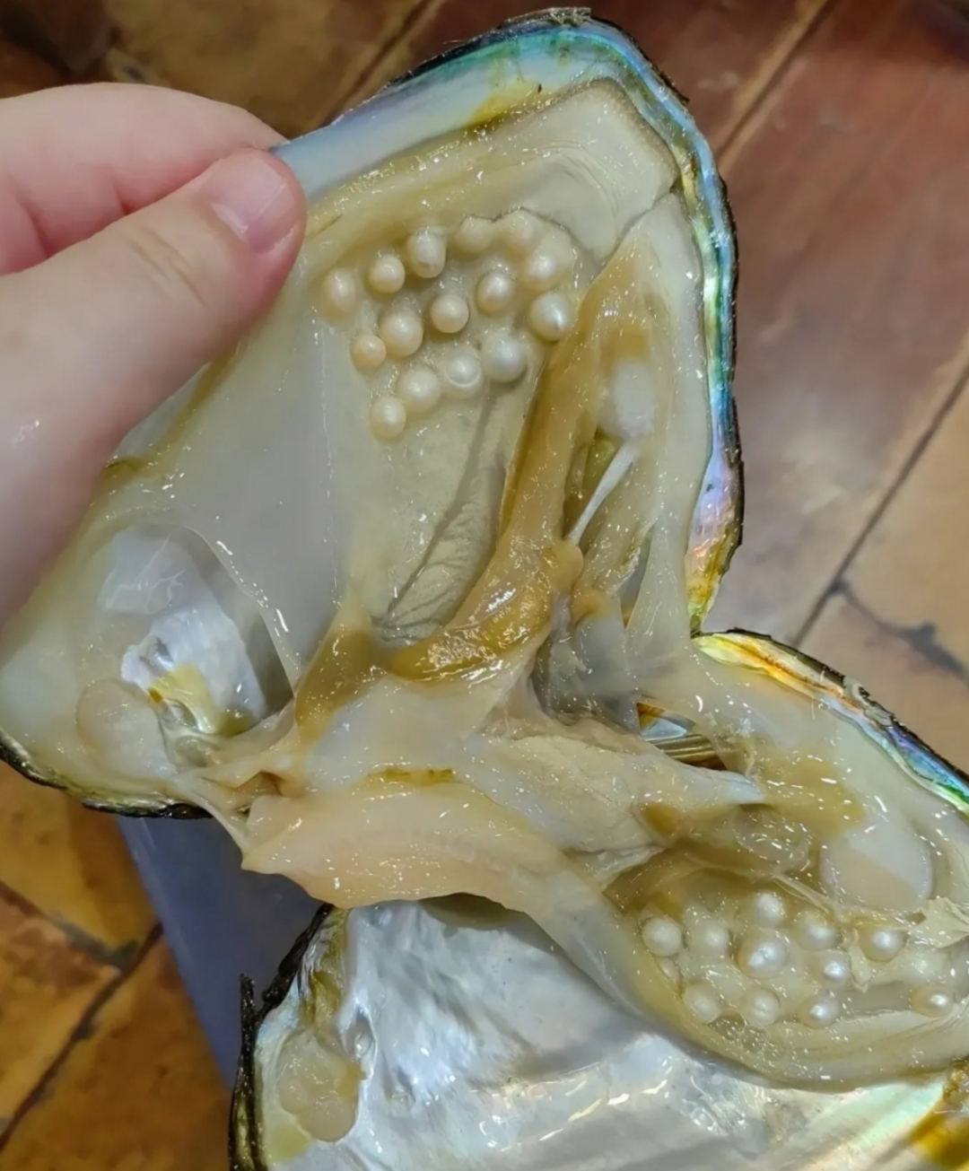 好像外面有好多人工饲养的珍珠贝壳,也不知道能不能这么多?