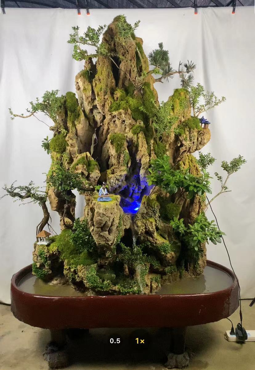 吸水石学名苔藓水草钙化石.因此在吸水石假山上可以种各种植物