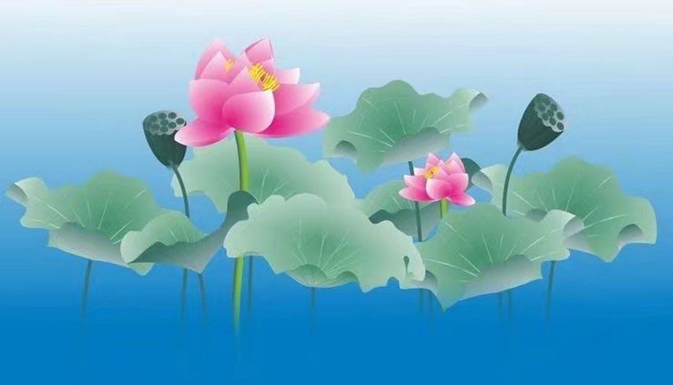 我是沿着莲花的脚印 走进去的  就像疲倦的鸟 飞回了茂密的森林  就像