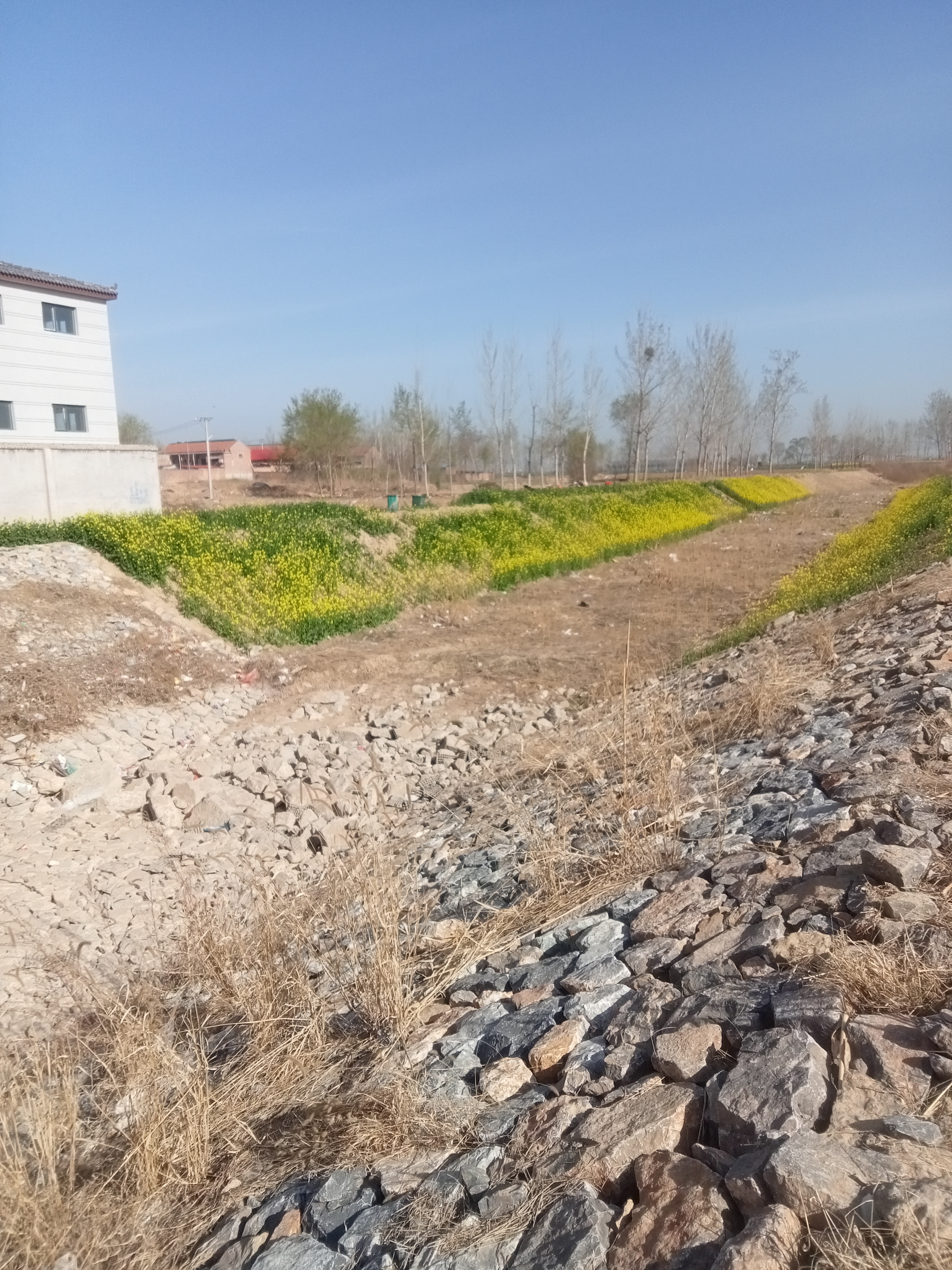 大屯村后村口广平县东张孟乡