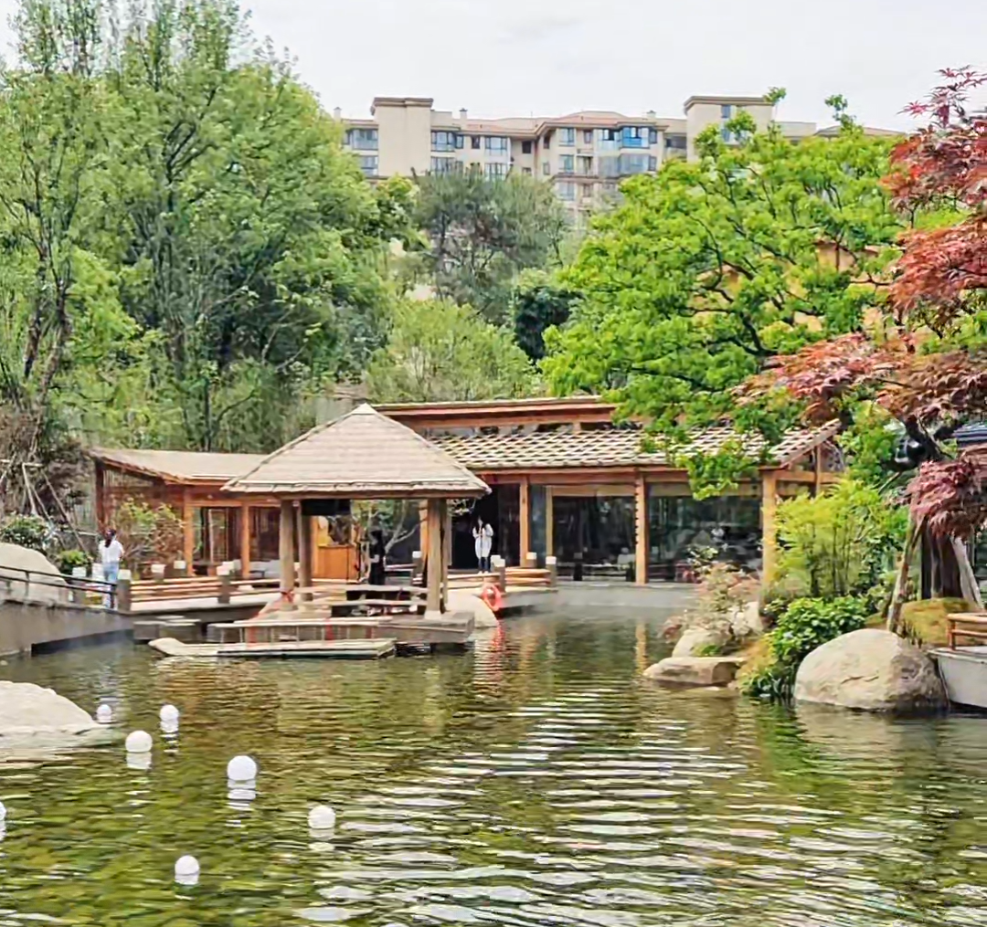 或许,这就是生活的魅力所在,充满了未知与惊喜,也