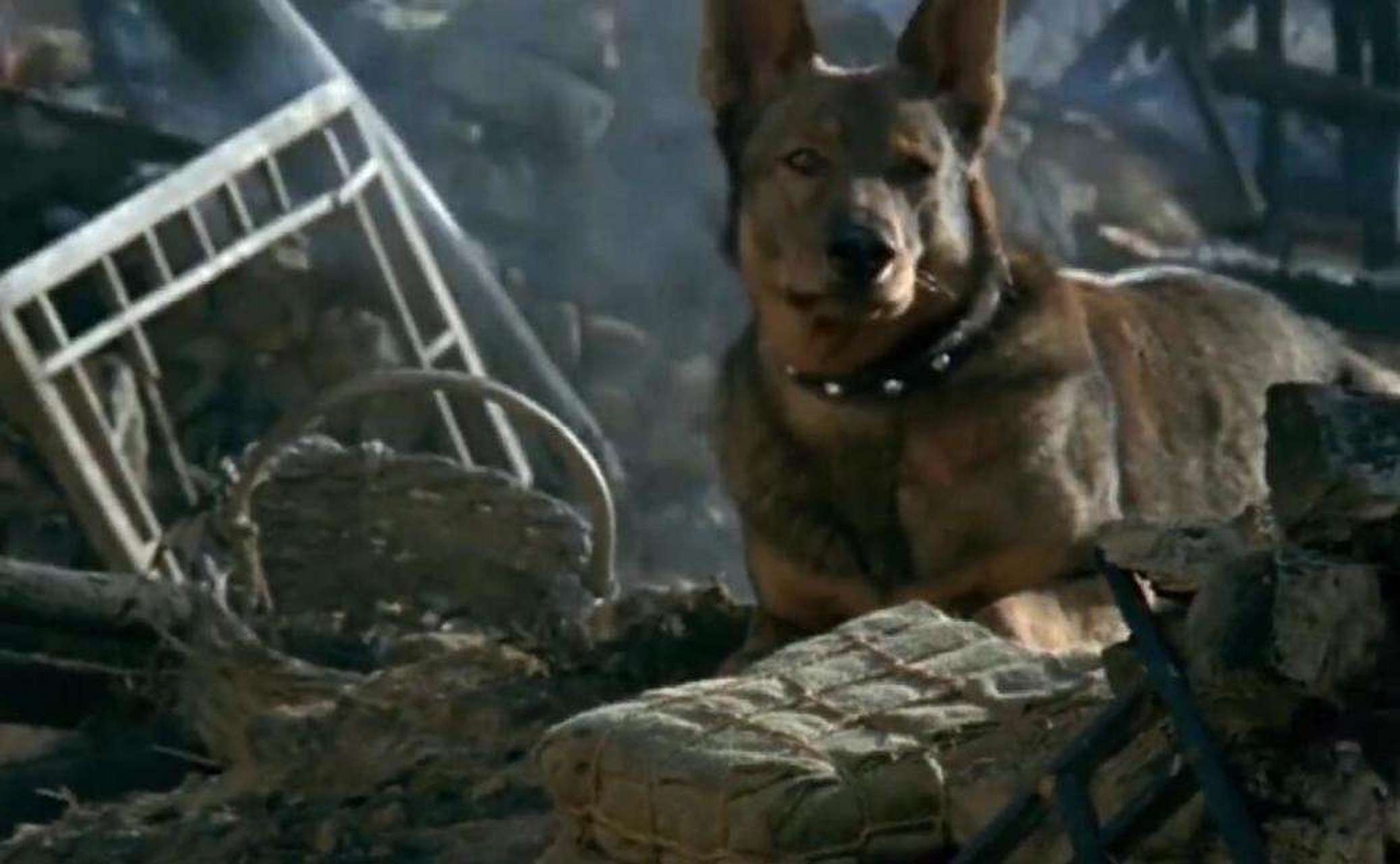 重温《犬王》这部电影,原来电影中的海龙真的被炸死不是特效,是真实的