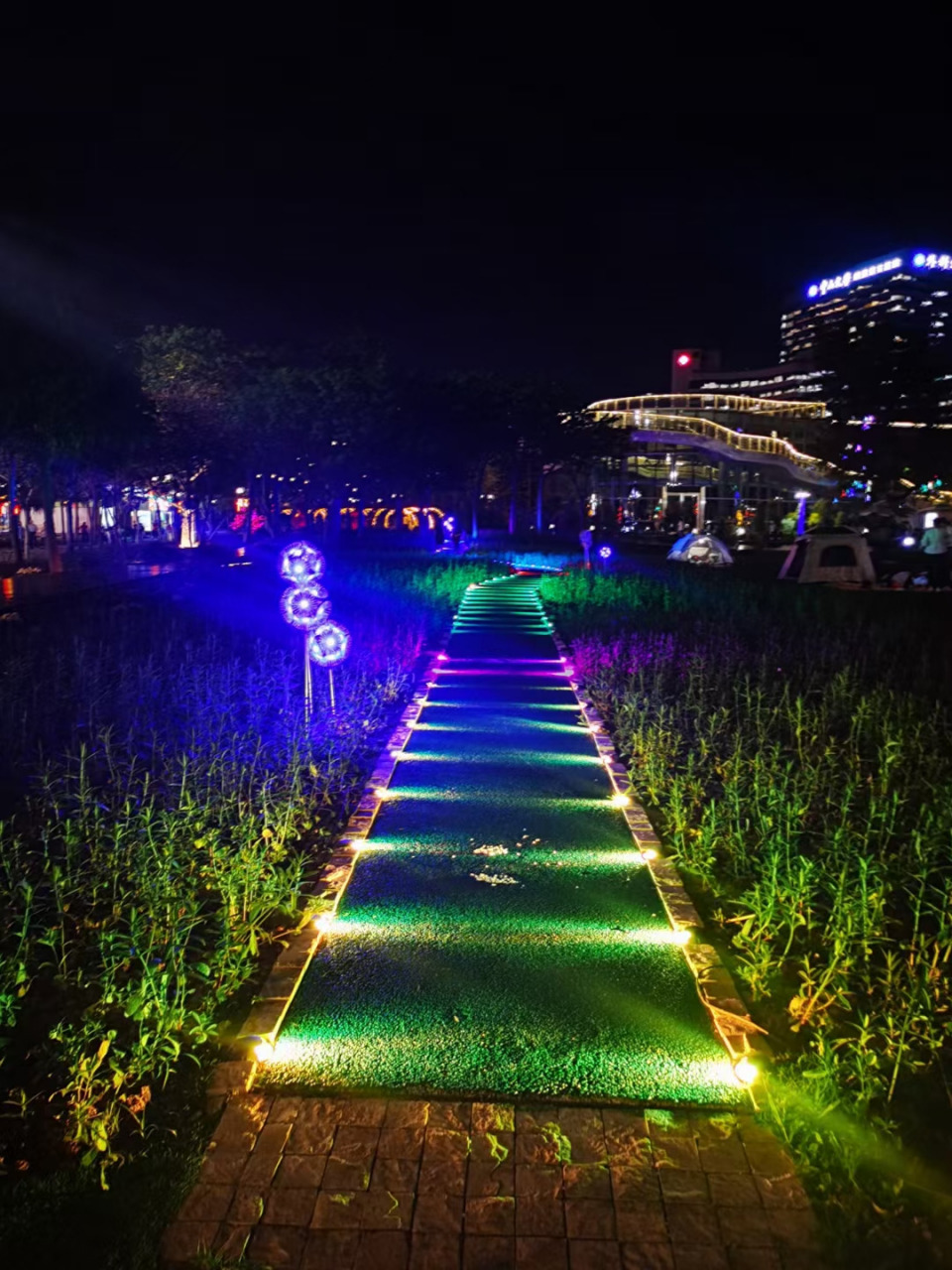 海天公园露营打卡[哇] 67很舒服很惬意[憨笑] 67和小伙伴们的露营