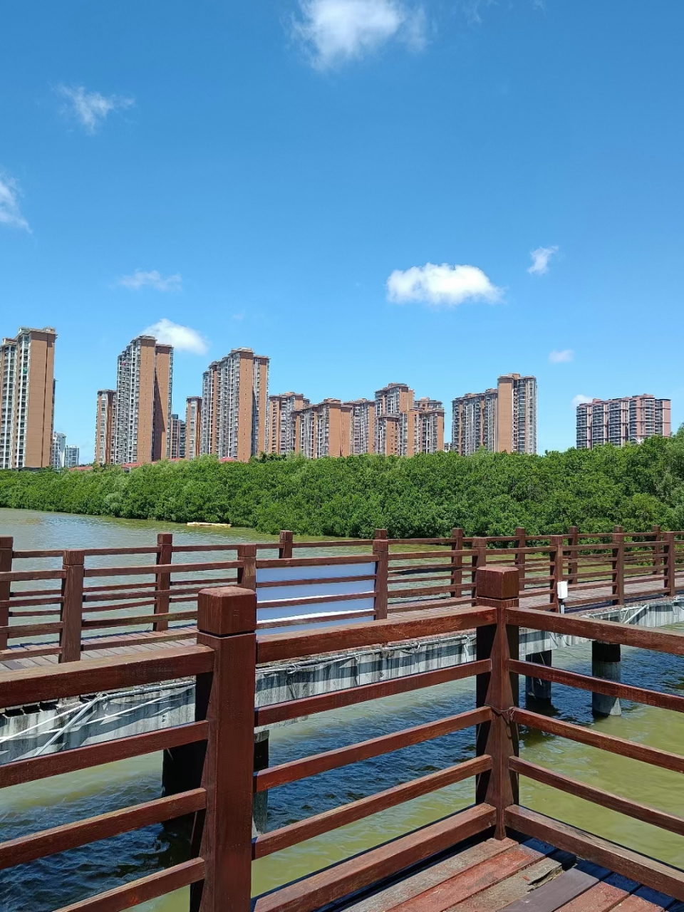 电白一中校外风景