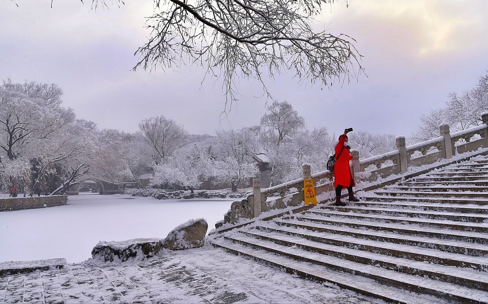 红装素裹,分外妖娆