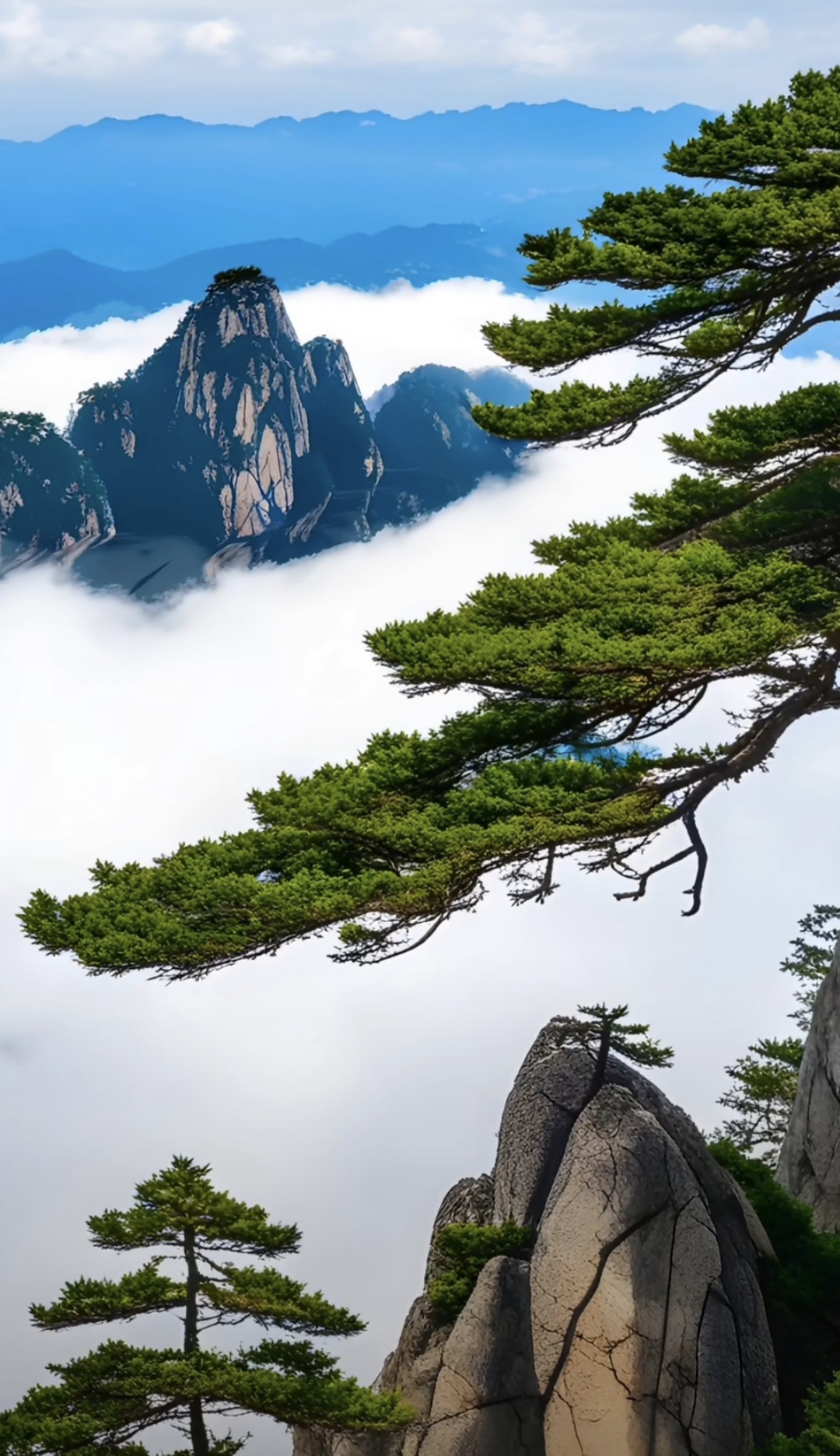 夜看春风送江月, 昼看彩霞约黄昏.  ——不老松 676767