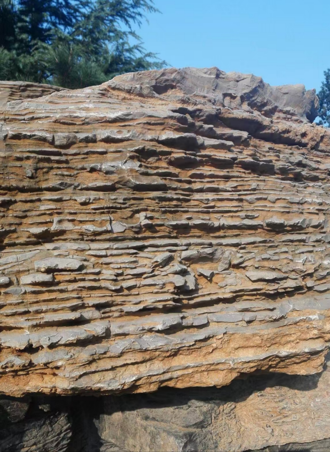 体制内不要总想着跟上司过招