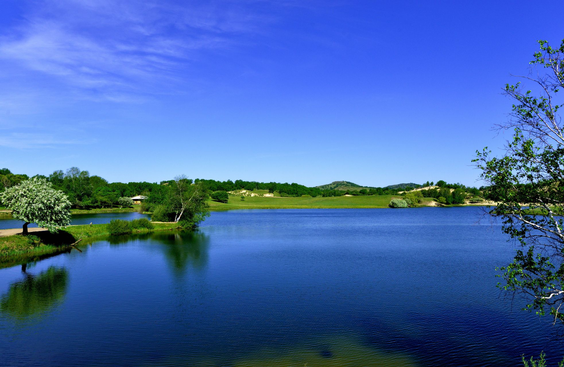 风景# #大自然的魅力# #满好的生活# #随手拍春天# #奔赴春天的旅行