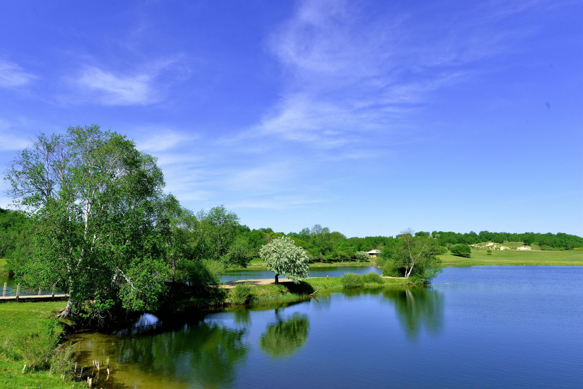 风景# #大自然的魅力# #满好的生活# #随手拍春天# #奔赴春天的旅行