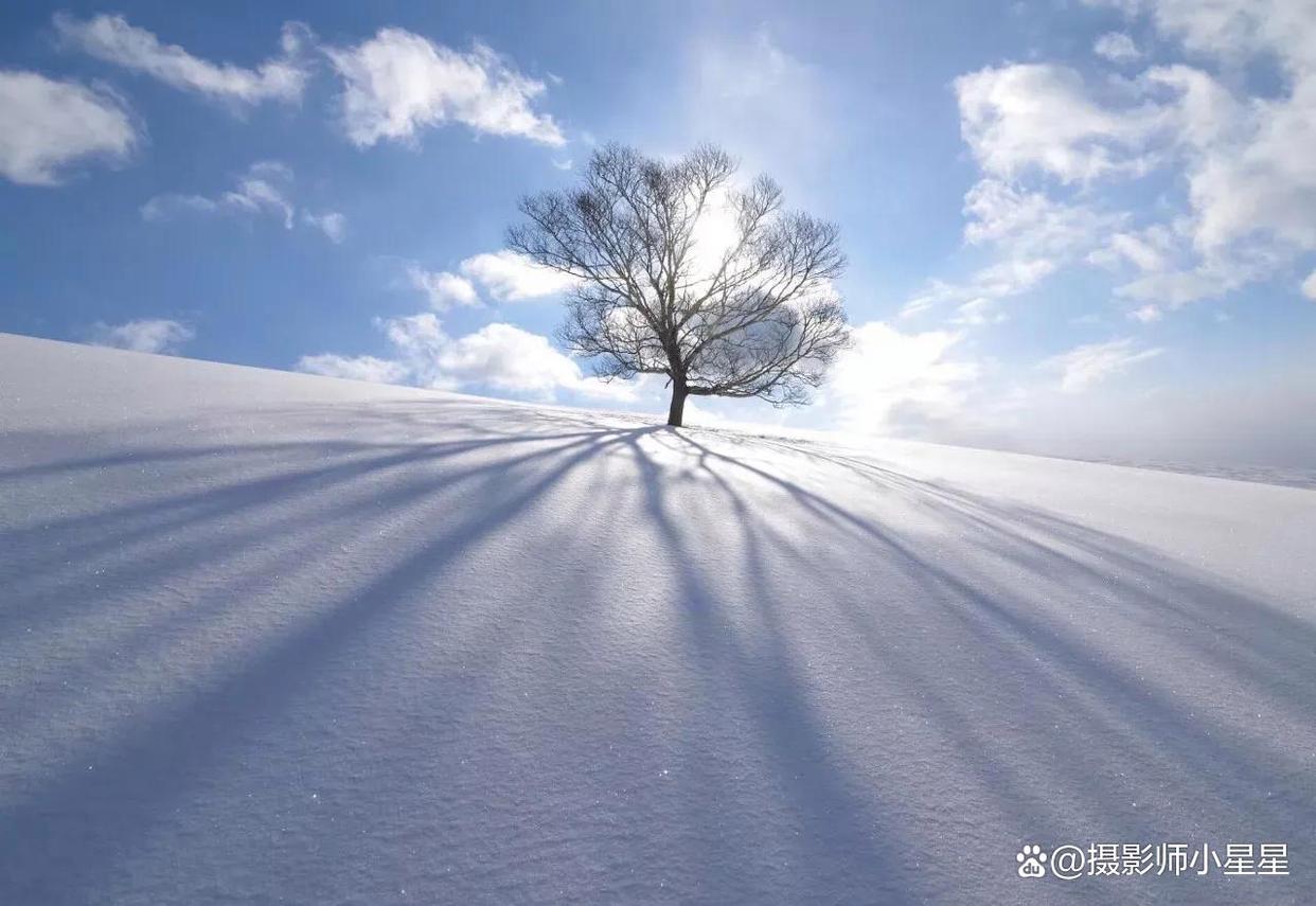 皑皑白雪天地为霜图片