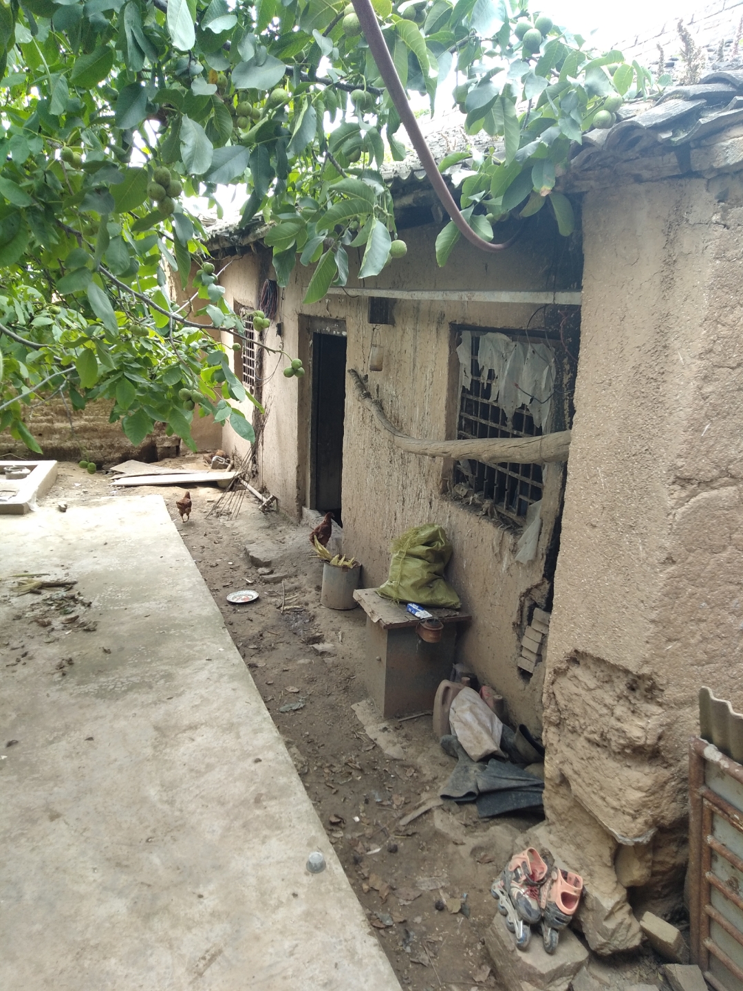 2021年的重建放子盖出打了3300元,负债2万多,到23