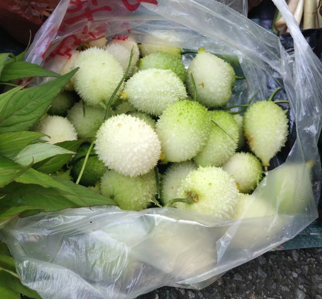 我也不知道[大笑]但也是果果,不过广西的亲亲的话听不懂叫什么名字?