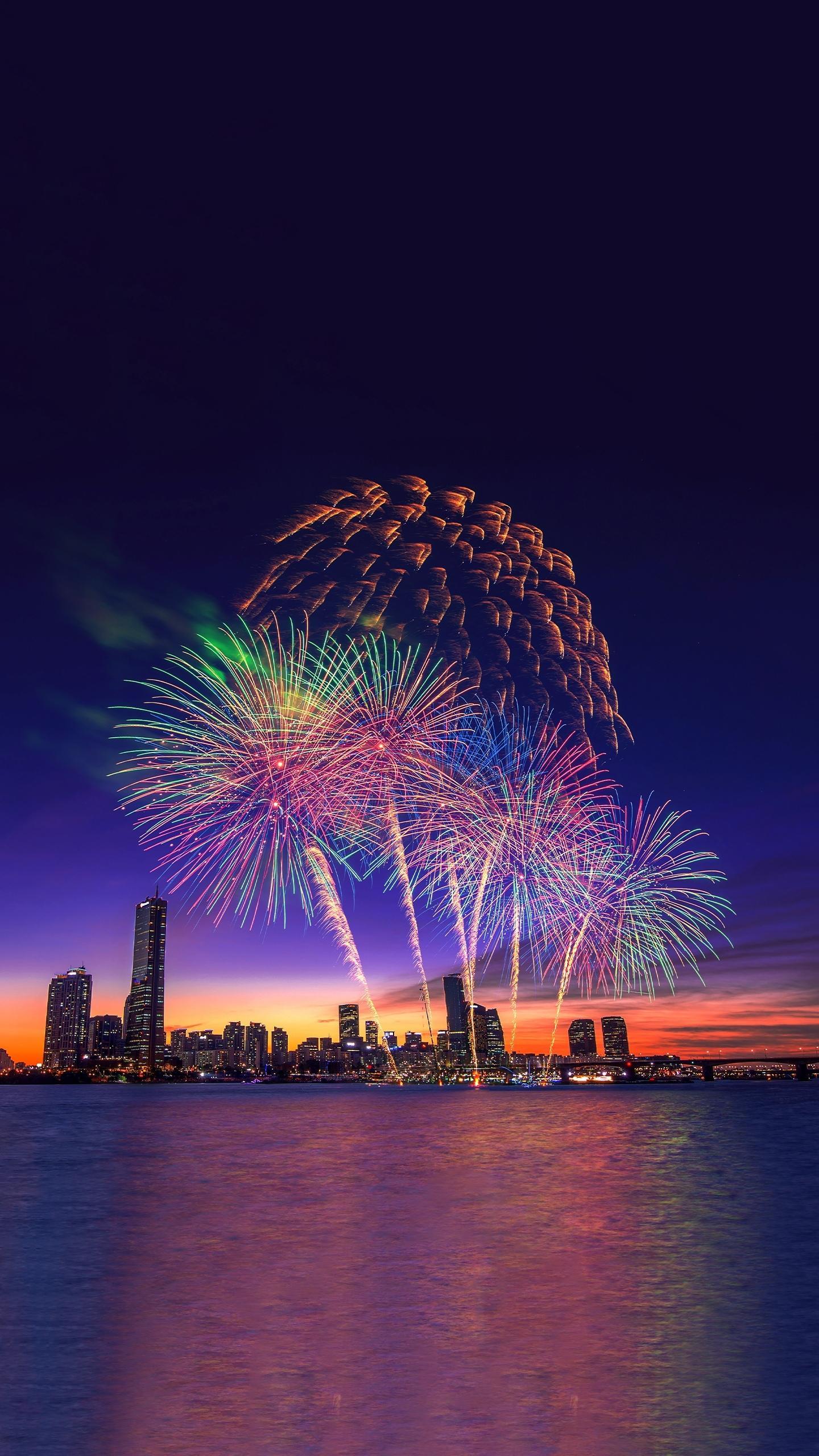 烟花在城市上空绽放,绚烂夺目,仿佛新年愿望正一一实现.