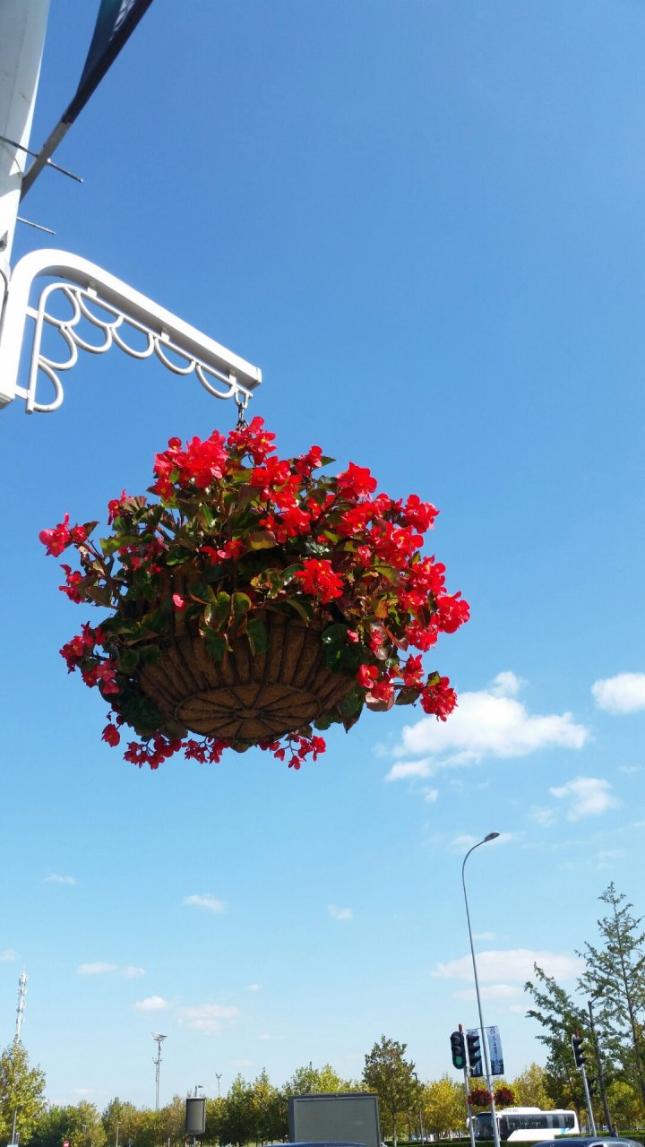 入灭尽定,无有二行而能听法也.大德舍利弗!汝信诸法,皆是自性灭尽否?