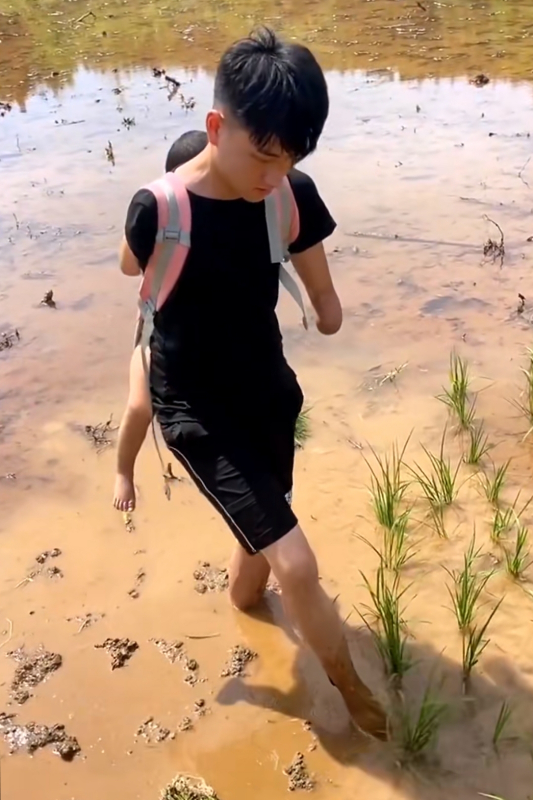 于浩渺的信仰之境,南无大愿地藏王菩萨摩诃萨之名号,宛如穿透尘世迷雾