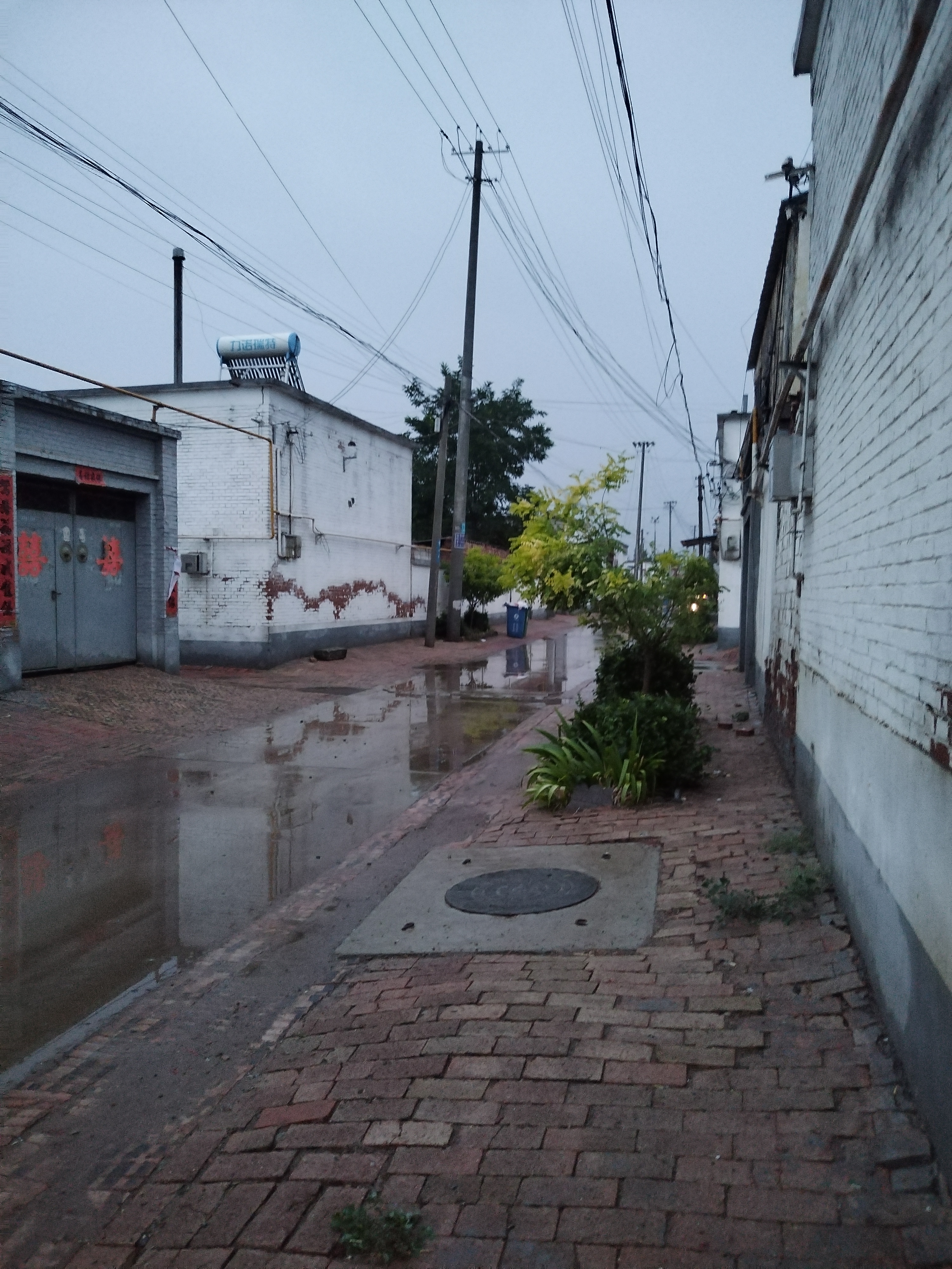 雨后街道图片