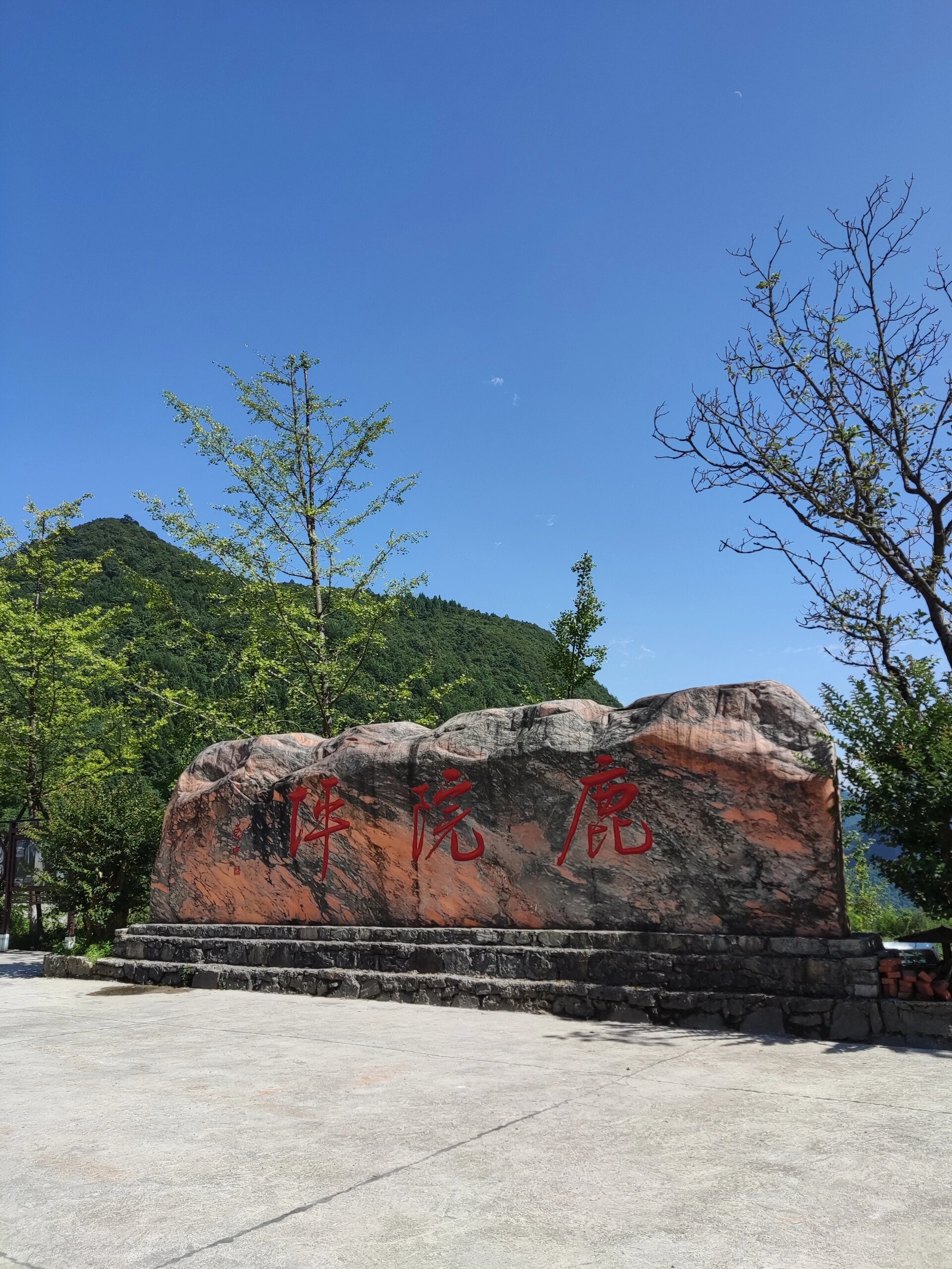 桃花谷风景区门票图片