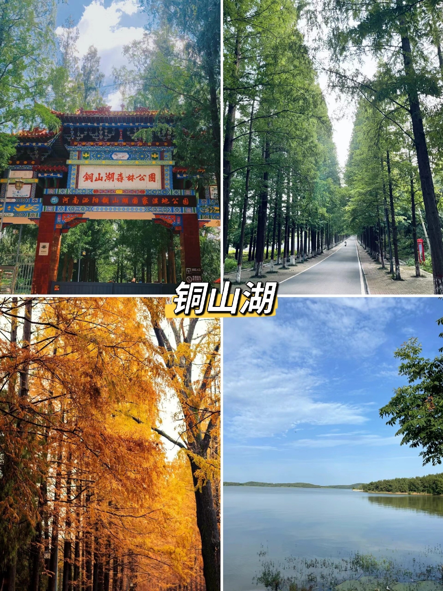 73:探索铜山湖畔的秘境,与自然共舞!
