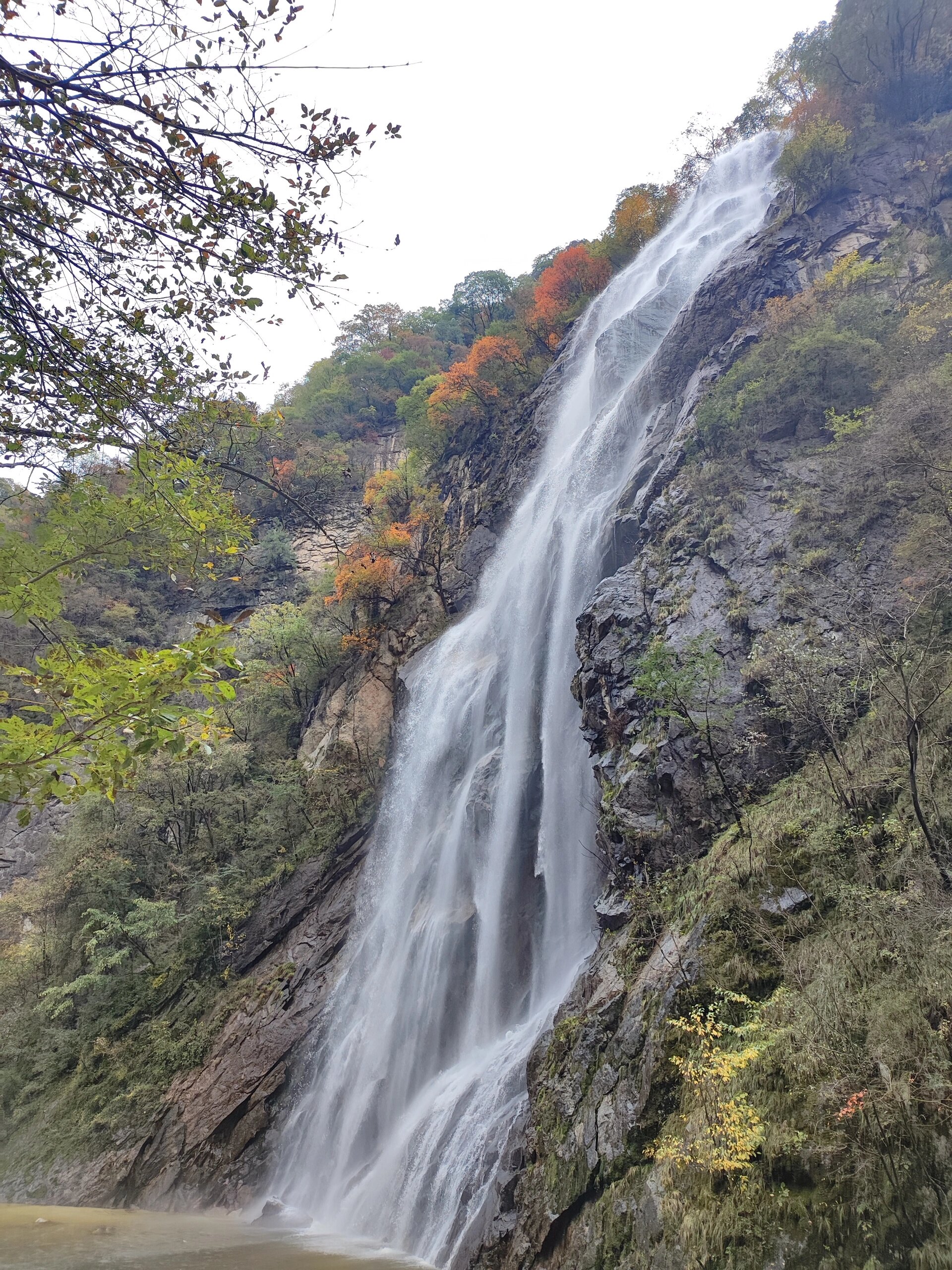 太白山国家森林公园图片