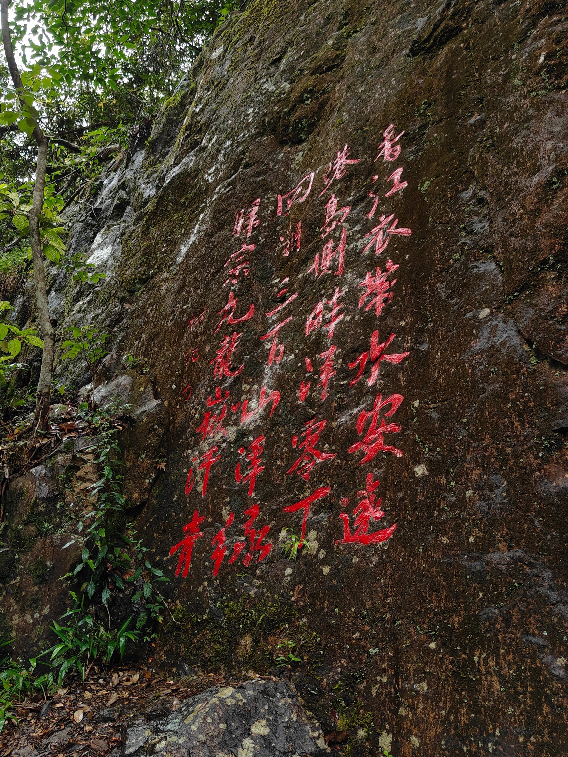 三百山:赣南的绿色明珠   地址:赣州市安远县三百山镇符山村过桥垄组