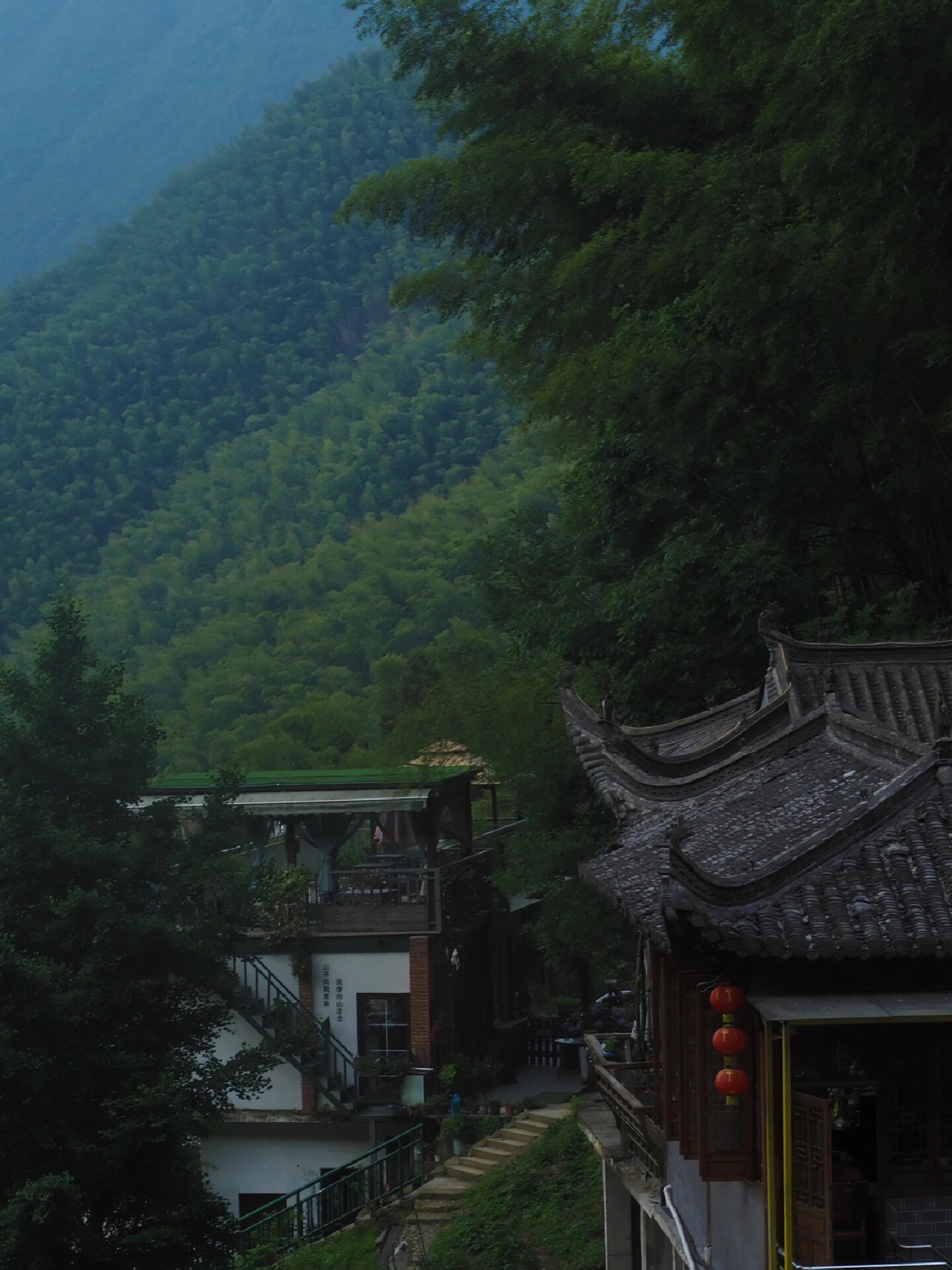 黄山木坑竹海景区照片图片