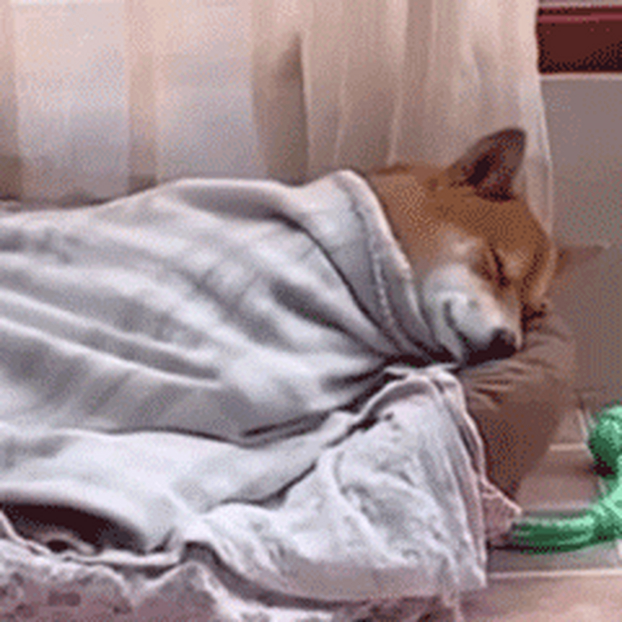 我每天的精神状态be like