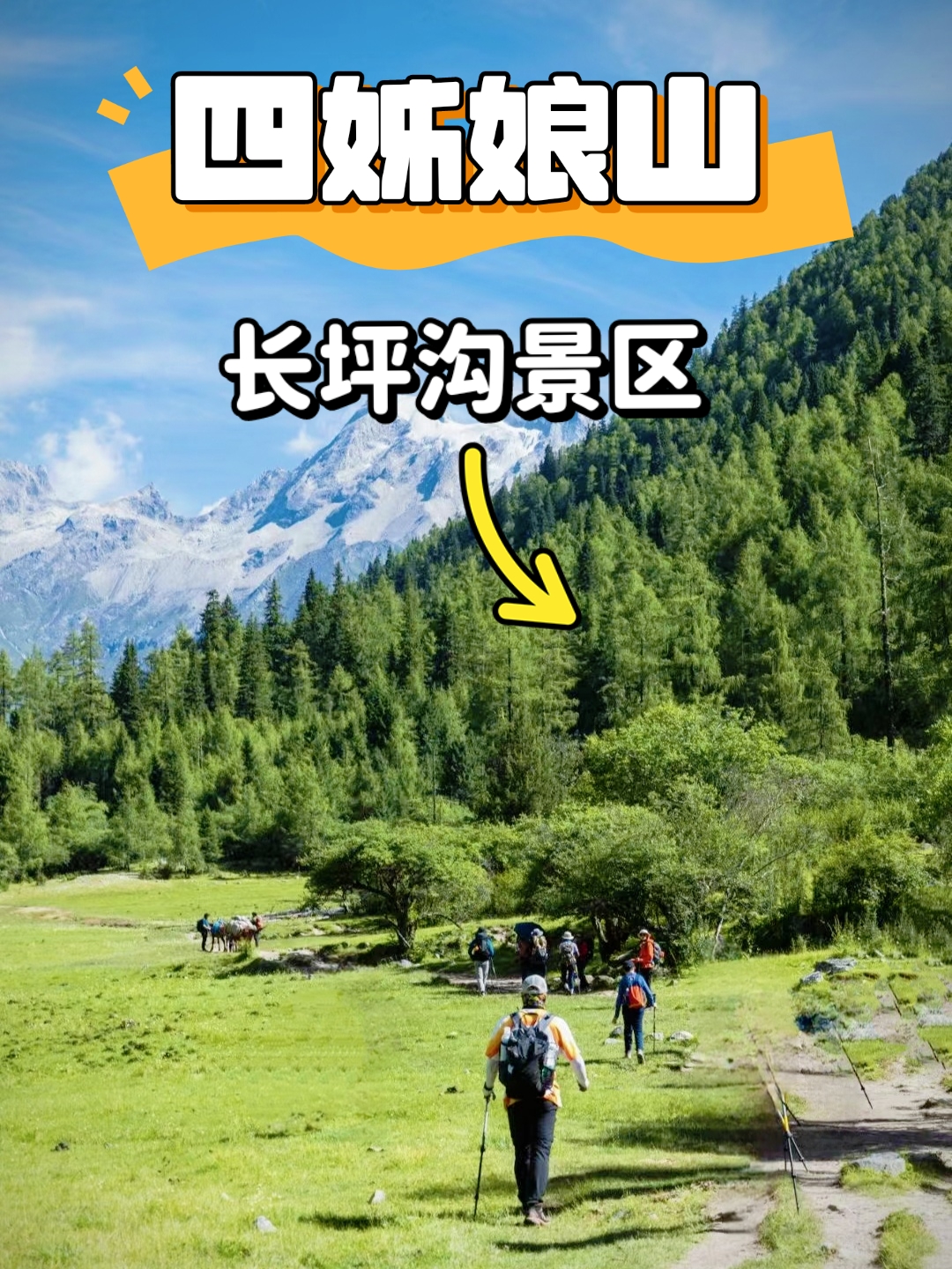 成都夏日玩耍指南#四姑娘山风景区national scenic area of four