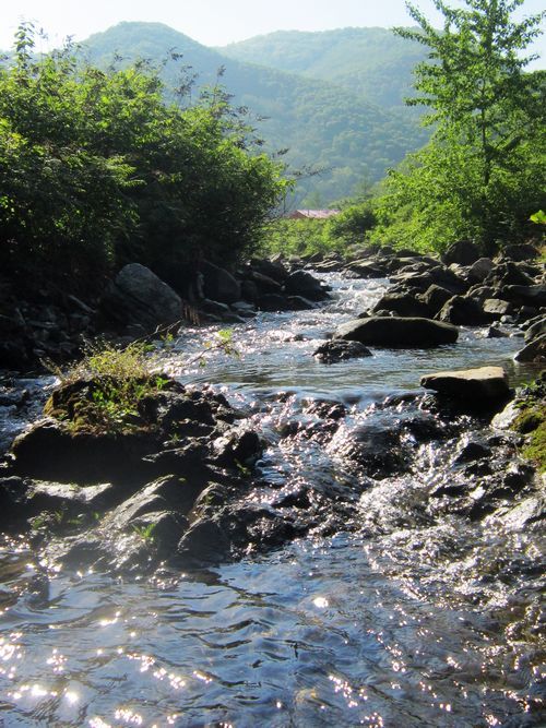 家乡的小河,是一幅流动的风景画,一曲悠扬的田园诗篇.