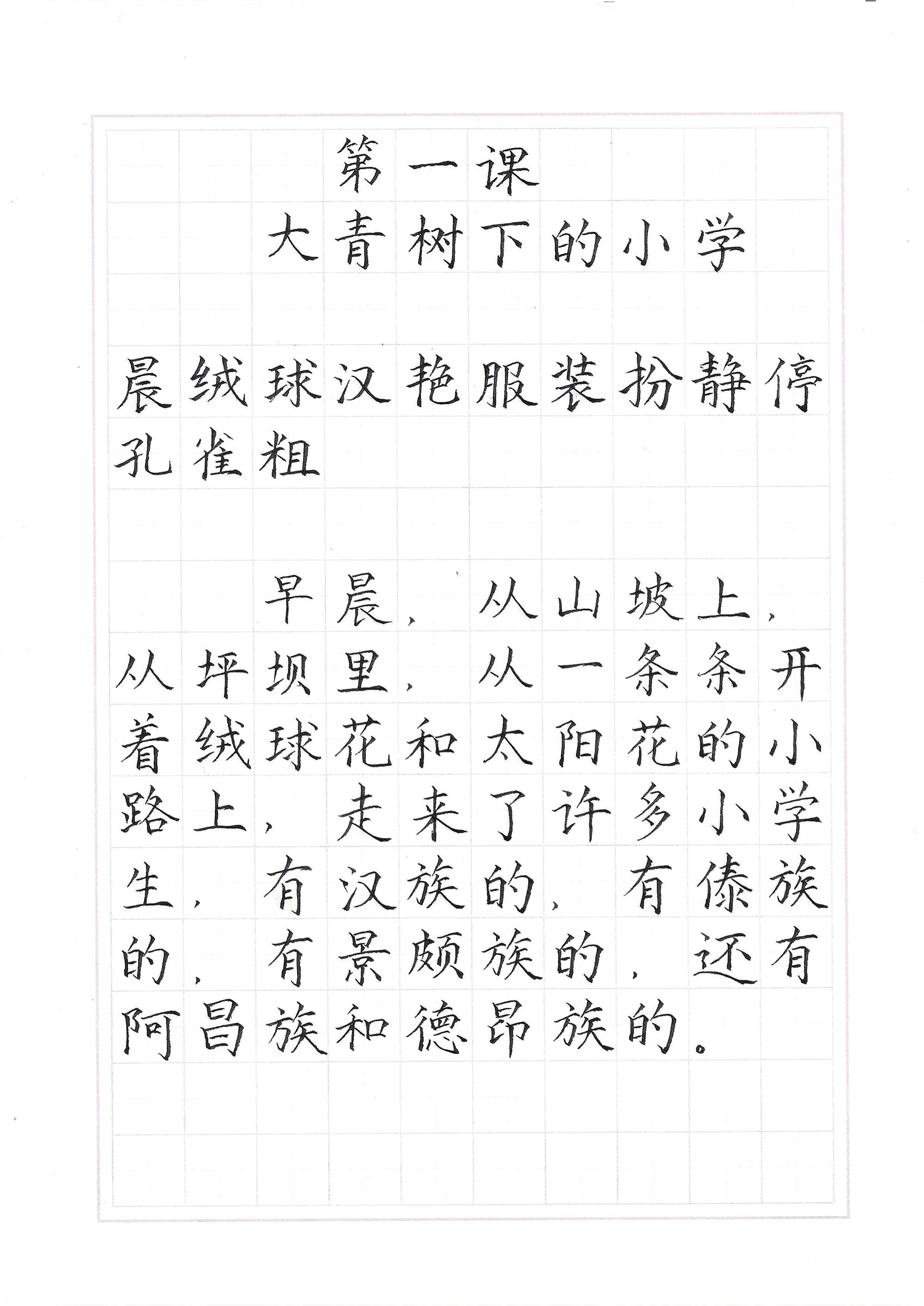 大青树上的小学生字词图片