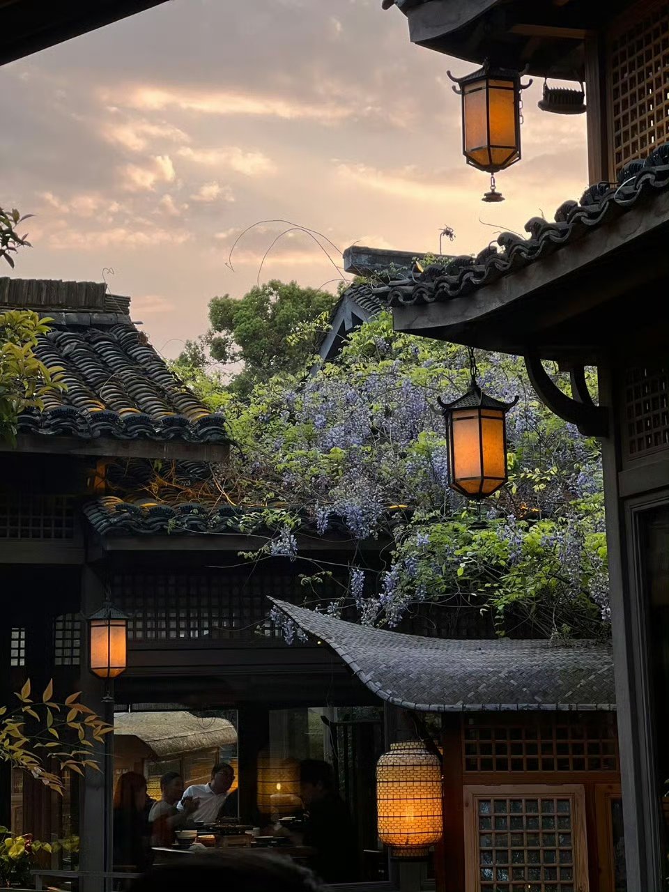 网络小说爱好者#  02推文 《探春录》--美人乔 tag: 暗恋,先婚后爱