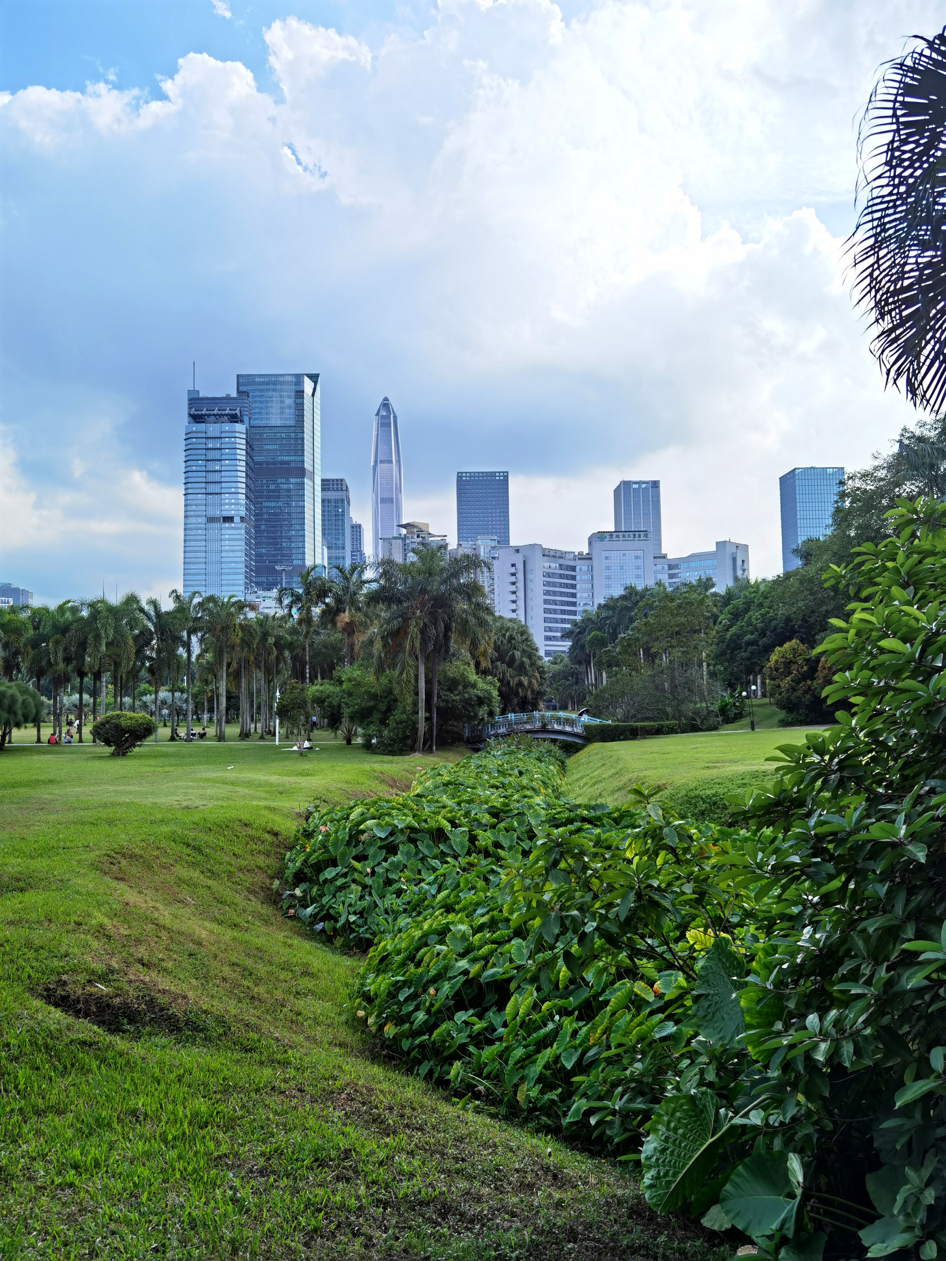 手机摄影:深圳莲花山公园美景