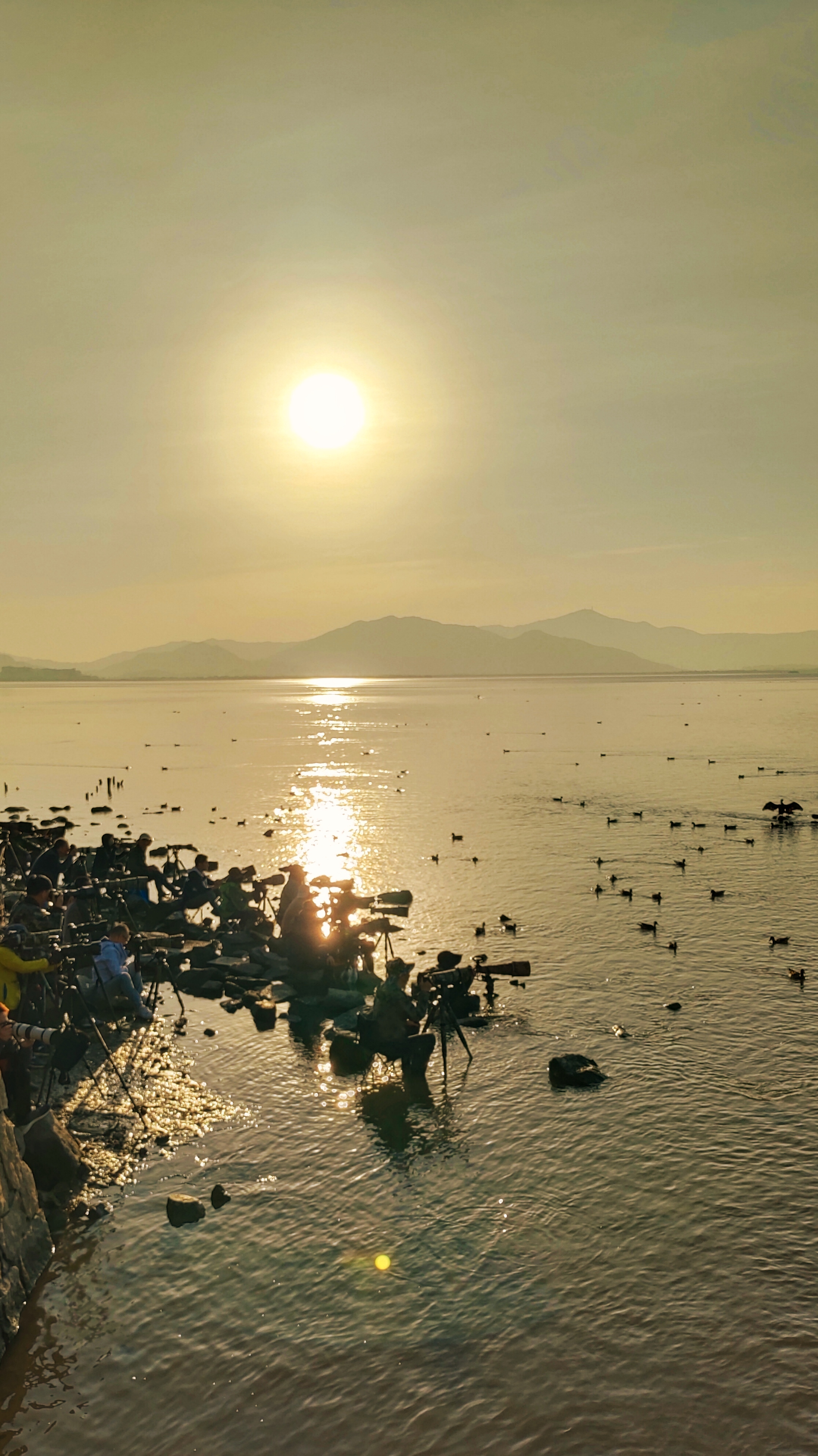 深圳湾海边风光 67 67早晨拍摄于深圳湾公园