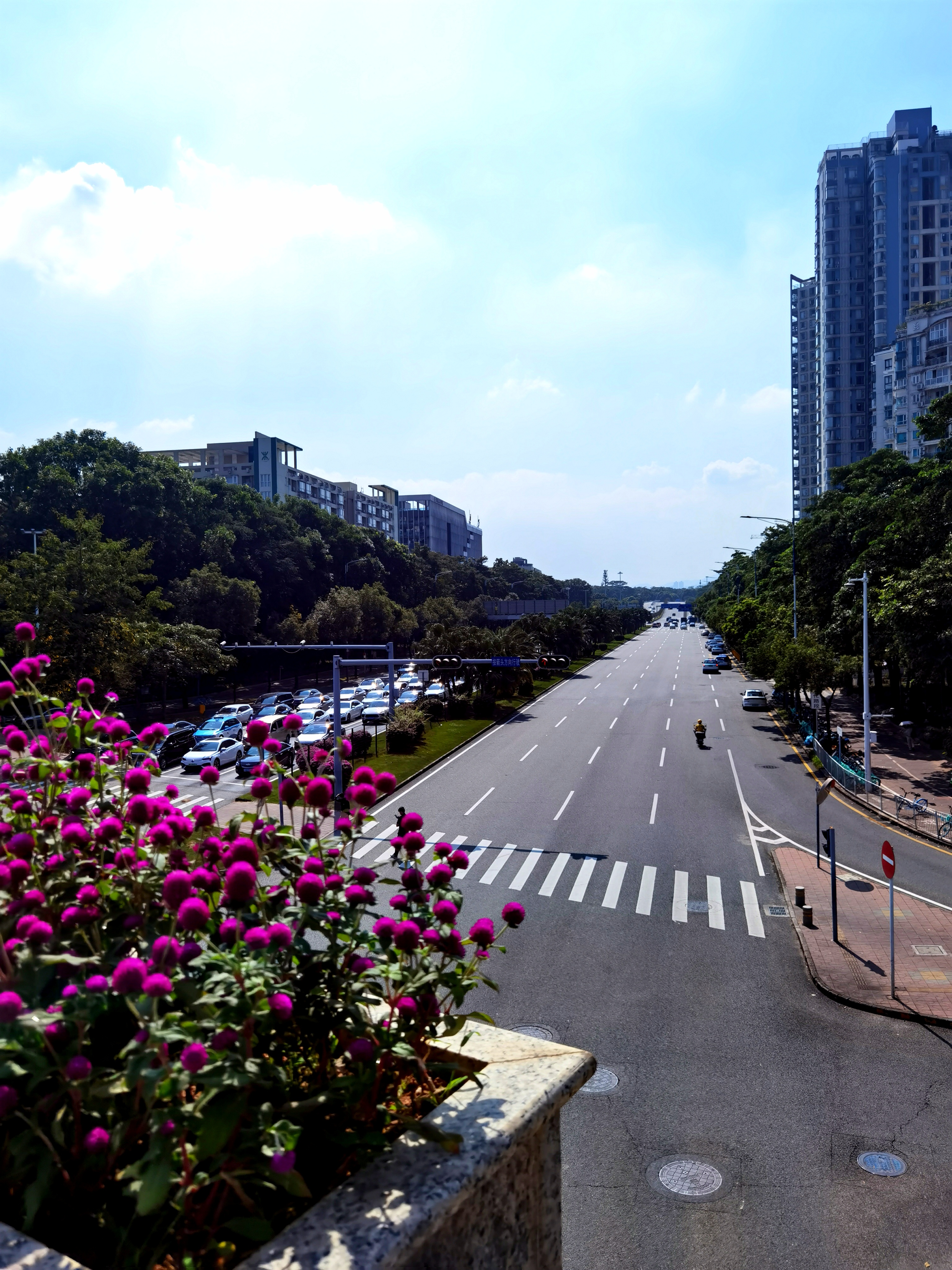 深圳街景真实图片