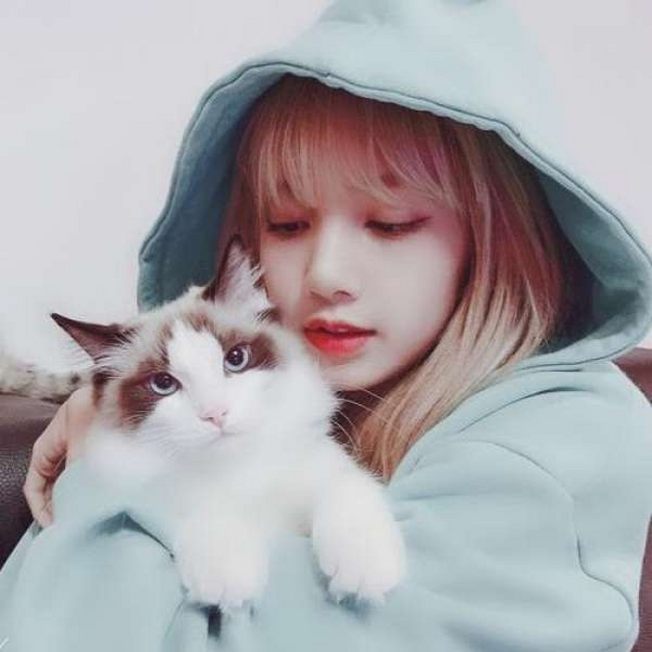 温槿工作室# #人间芭比lisa# l isa头像(2) 点赞抱图