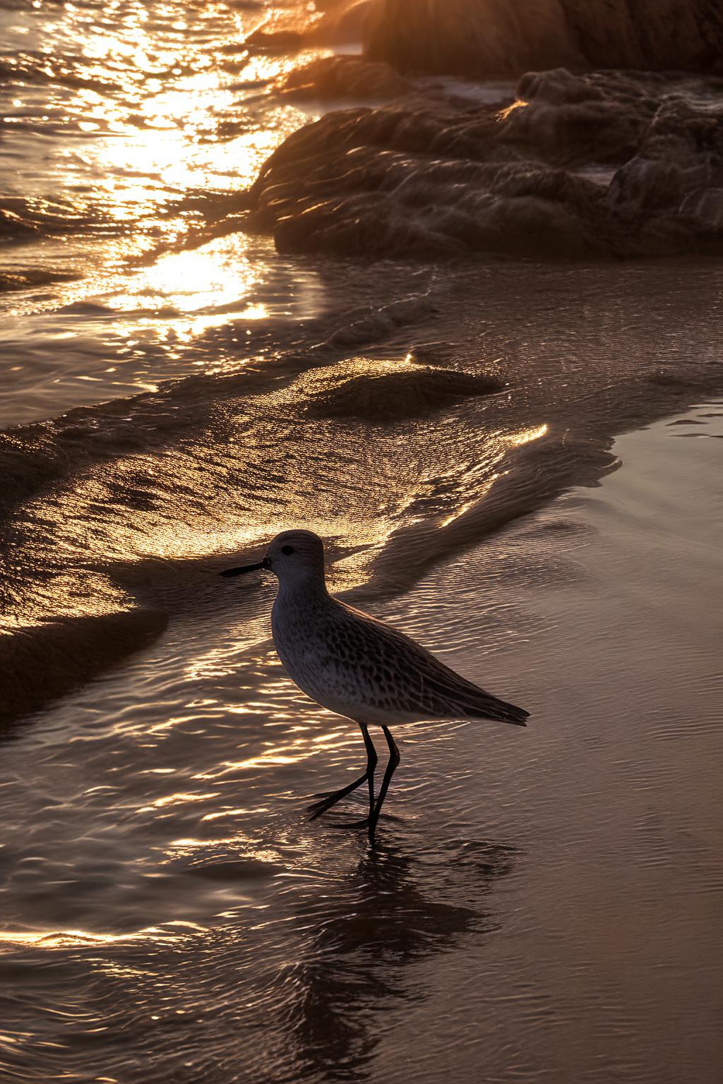 阳光明媚,海风轻拂着脸颊,听着海浪拍打着岸边,心情格外放松.