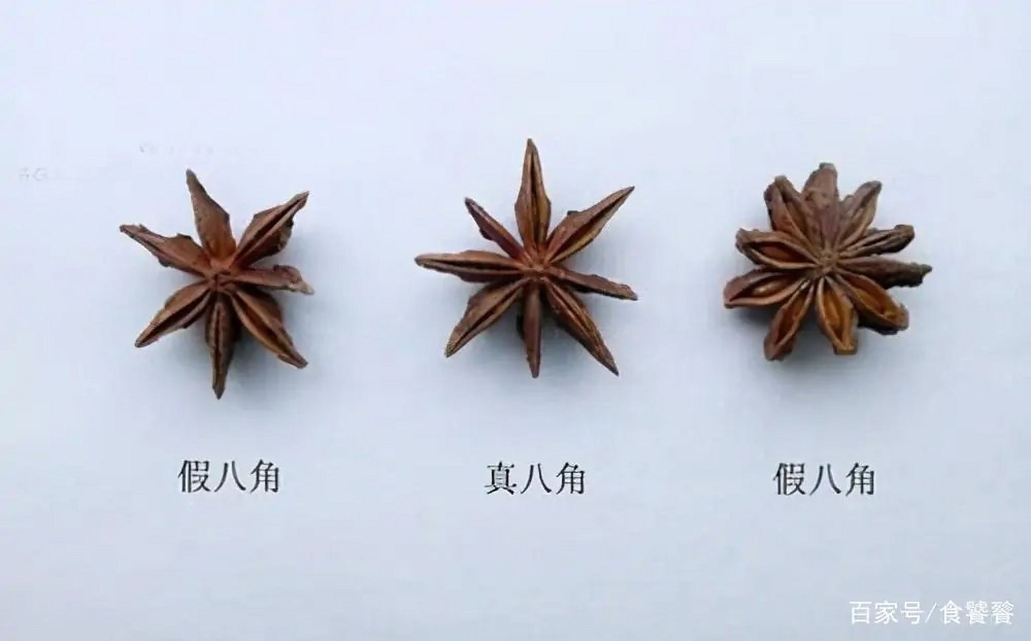 真假八角大辨别