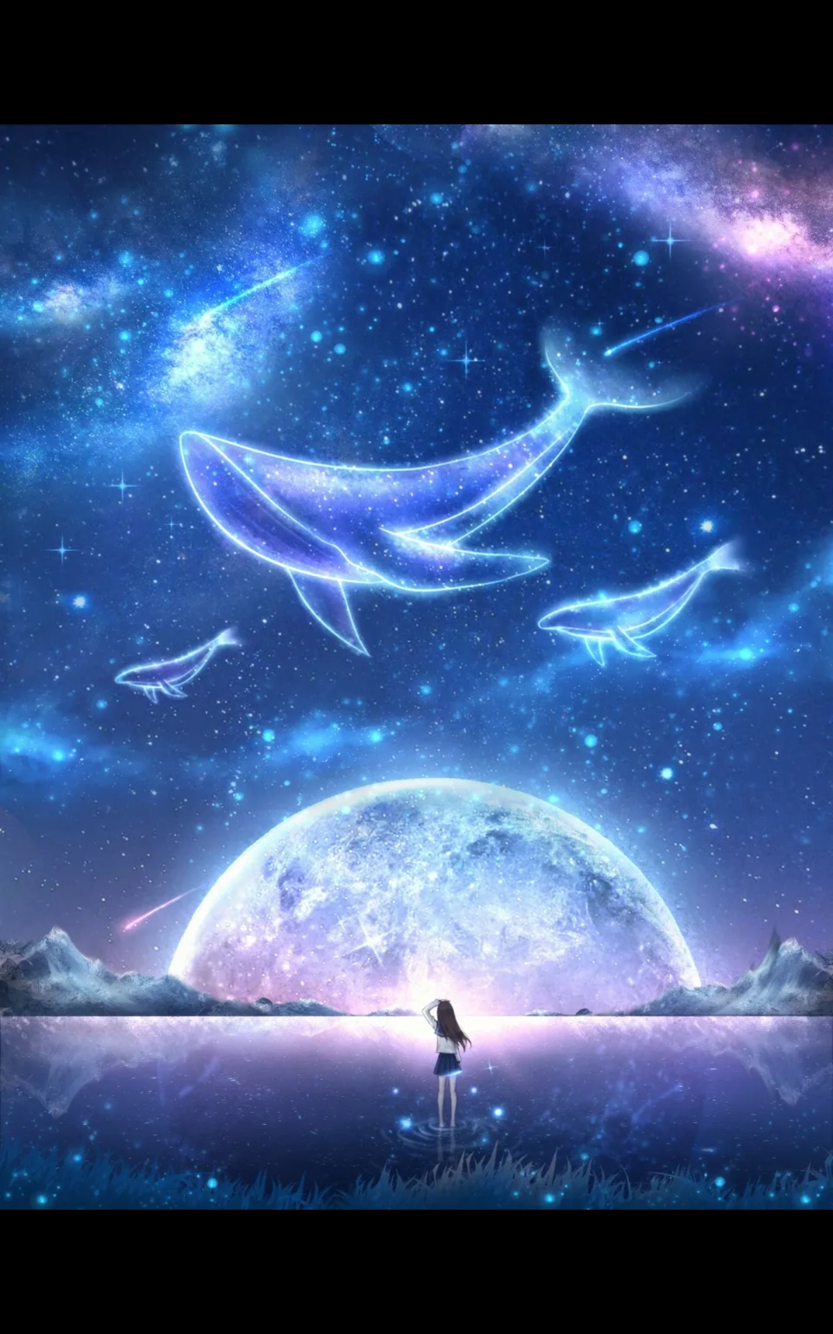 几种唯美的鲸鱼壁纸