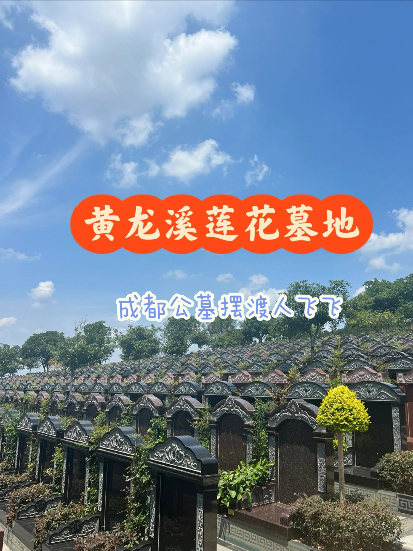 黄龙溪莲花公墓图片