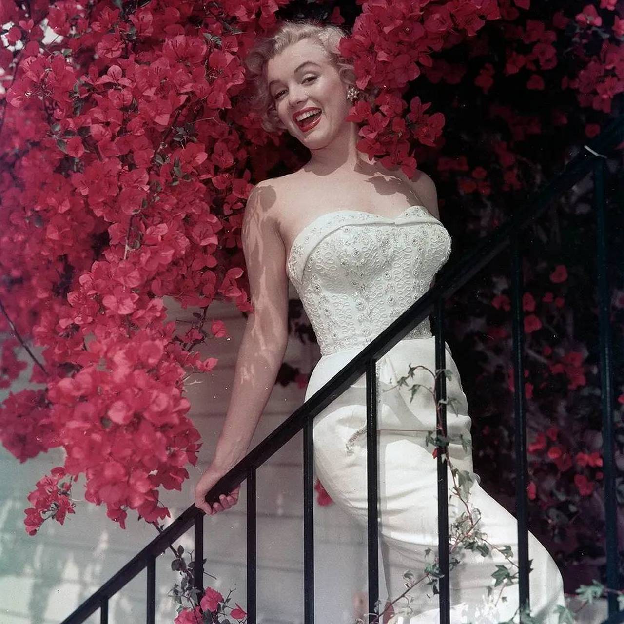 1962年,性感女神玛莉莲·梦露与歌剧女王卡拉斯,在美国总统肯尼迪生日