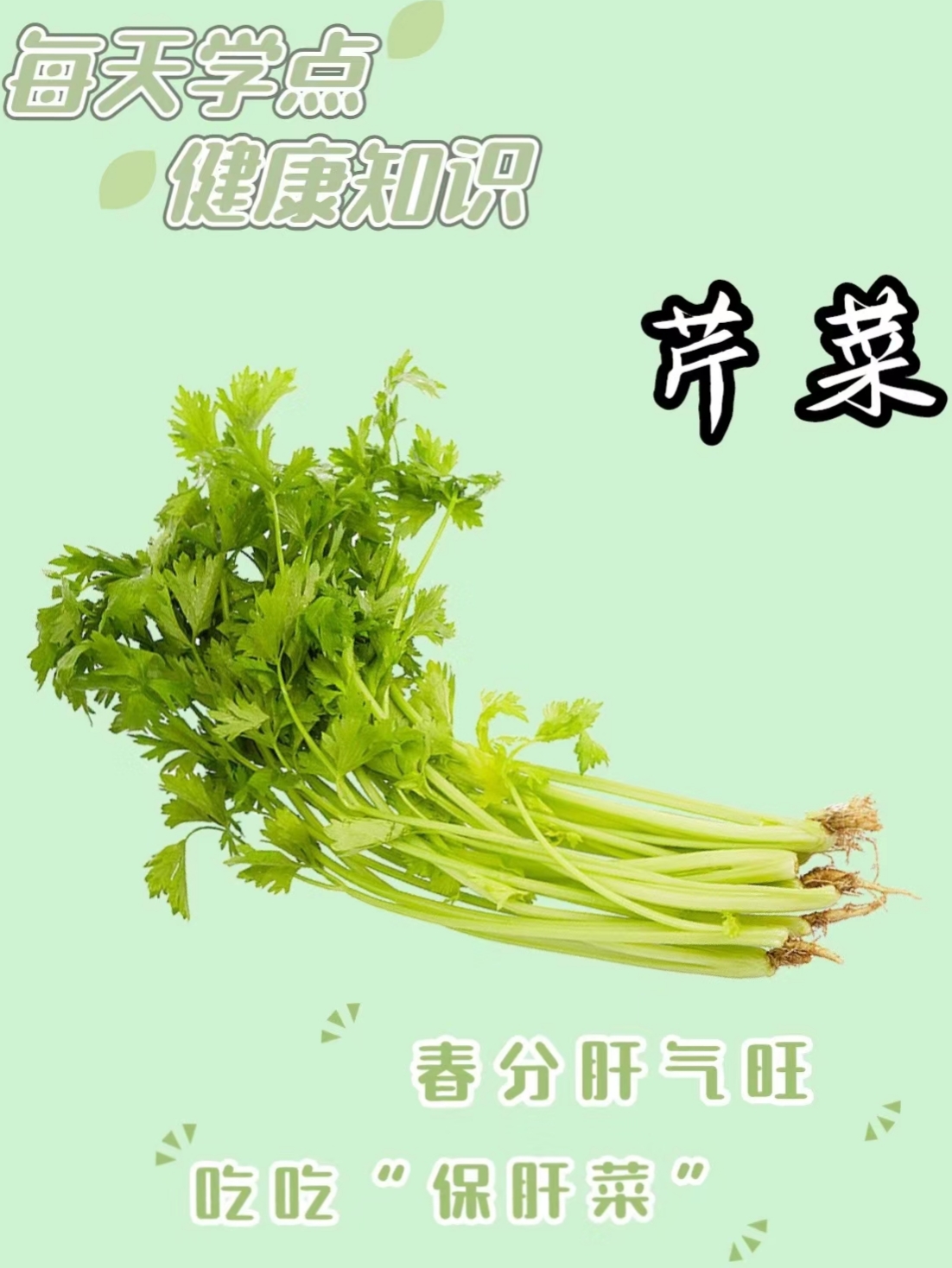 99芹菜好处大揭秘,健康美味双丰收!
