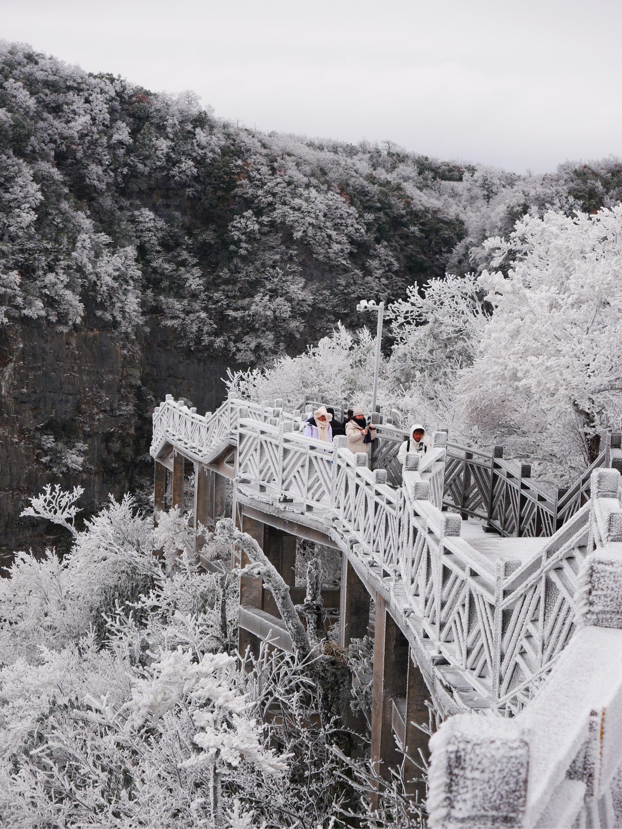 张家界天门山雾凇图片