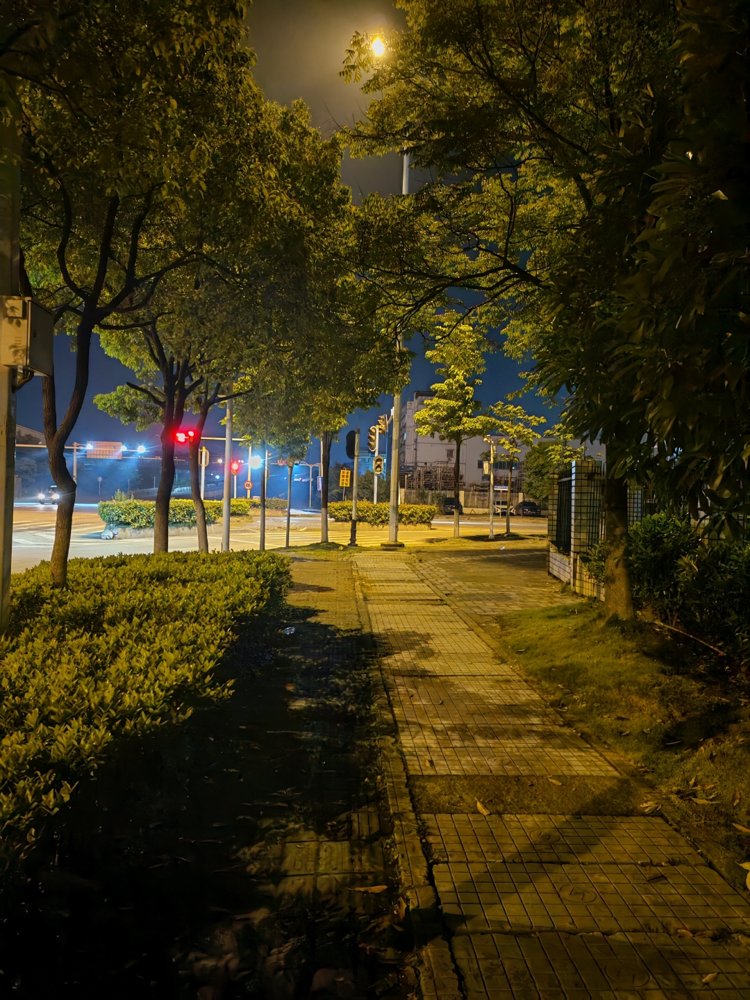 街道夜景图片 安静图片