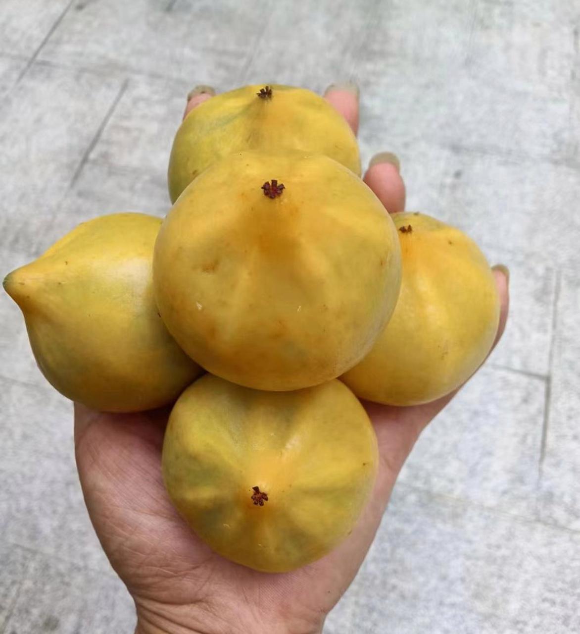 朋友寄来的野山竹,第一次吃,你们有吃过的吗?