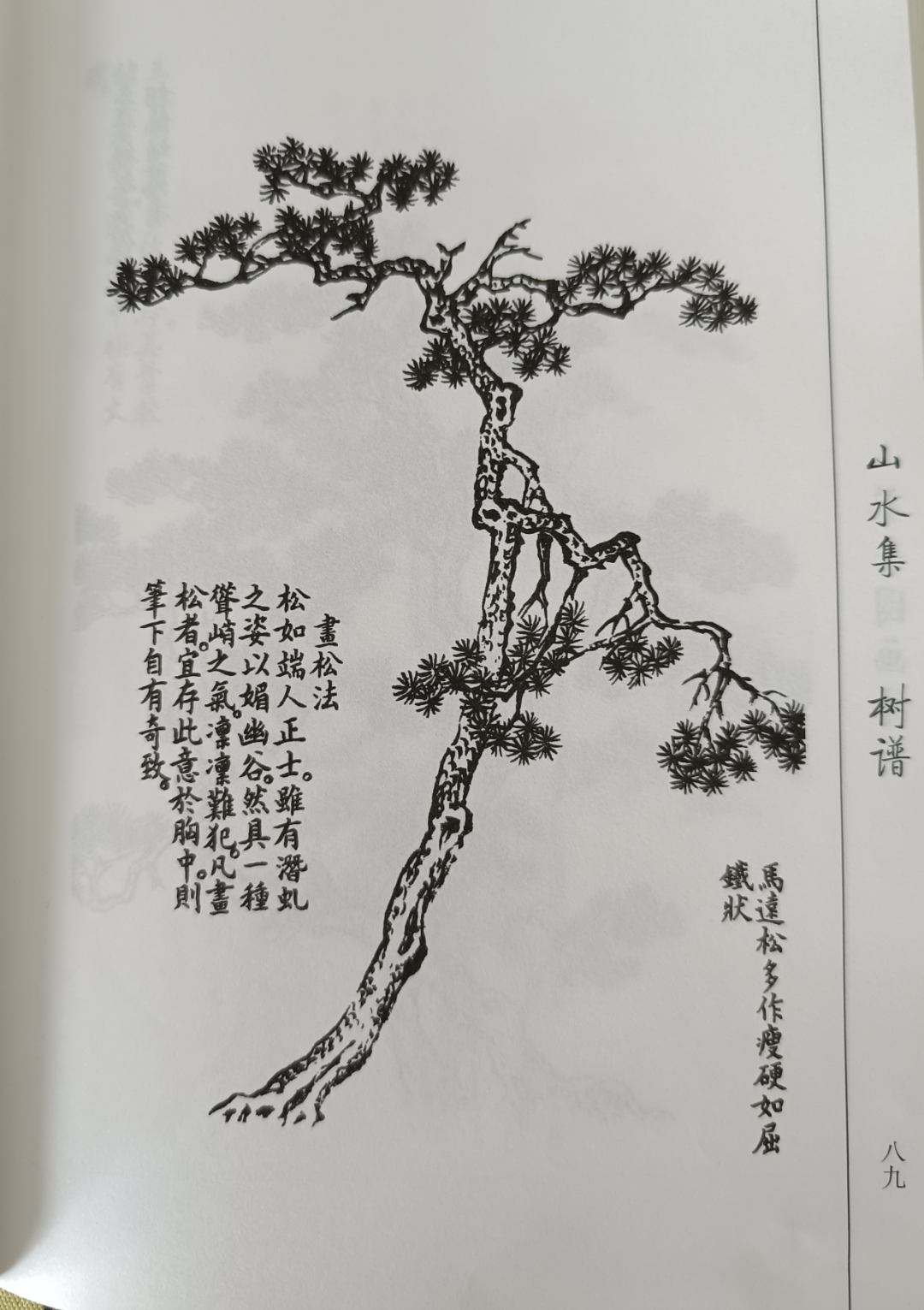 精品课程第十五讲——芥子园画谱树的技法图解(松树树干画法)精选九幅