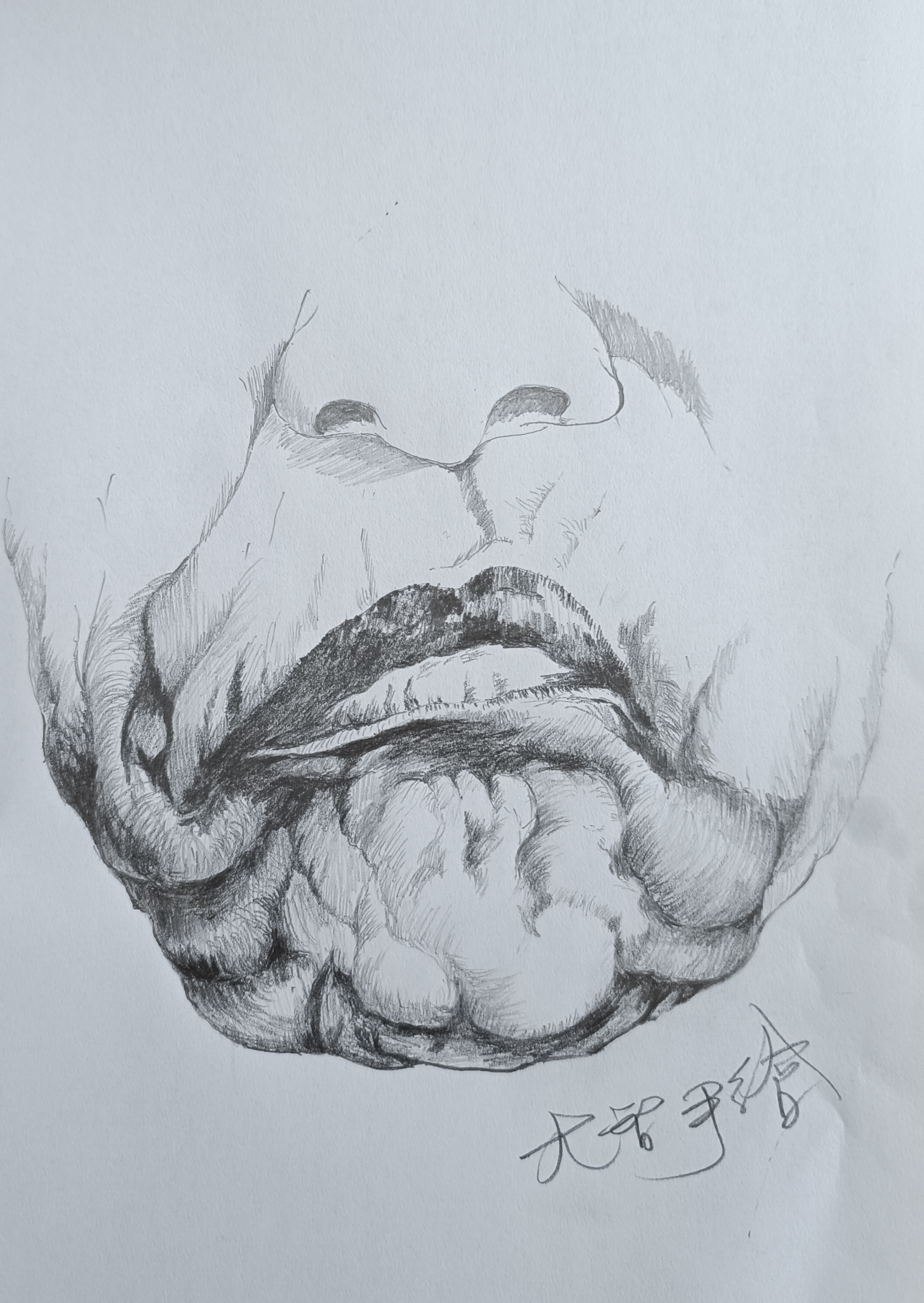 大智素描铅笔人物头像细节