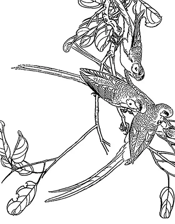 喜欢画画可以拿起画笔临摹一下难度不大三颗星