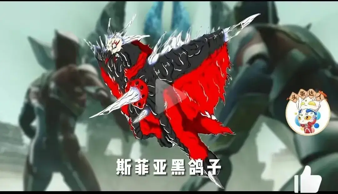 黑鸽子家族黑鸽子斯菲亚黑鸽子